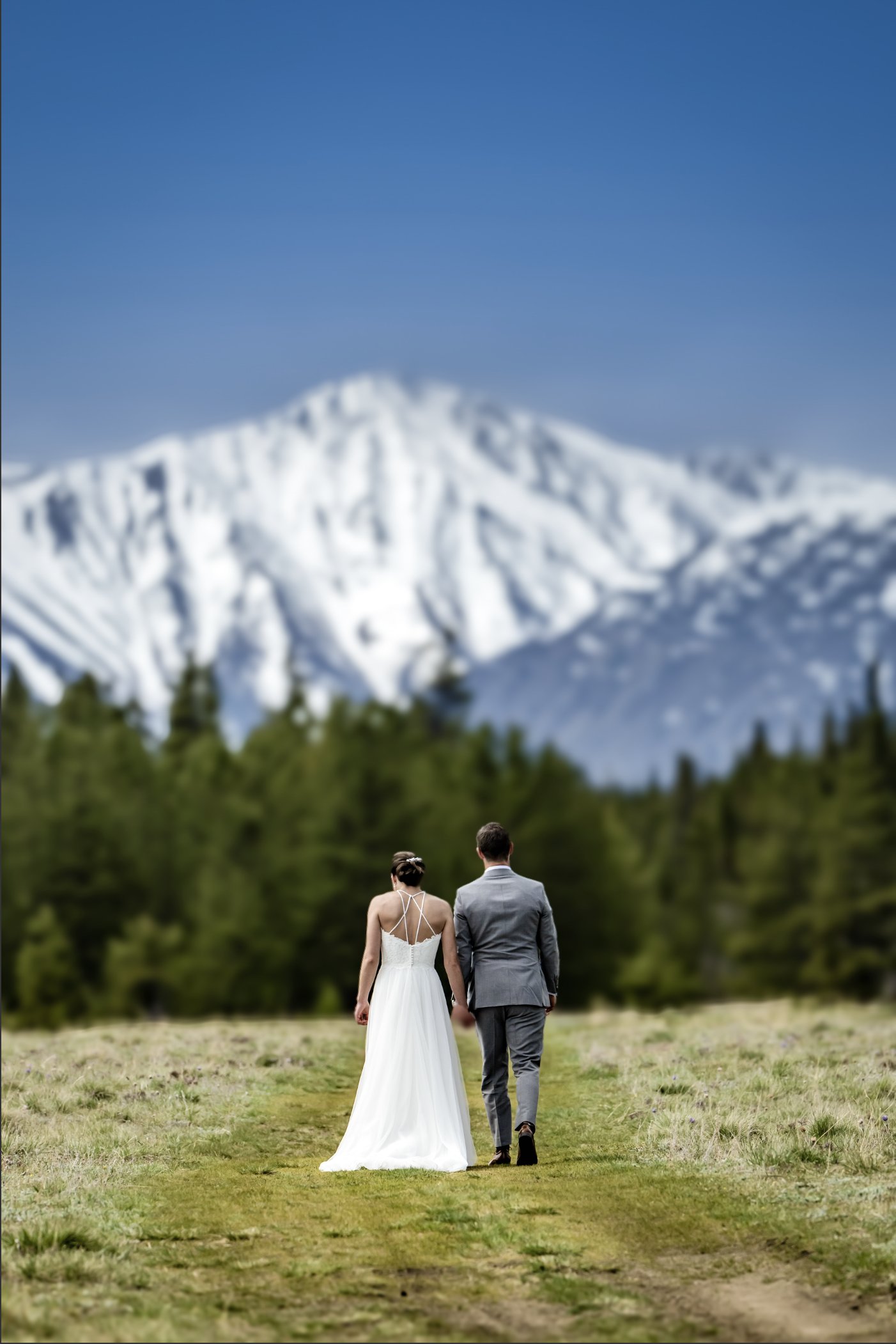 Wedding00024.png