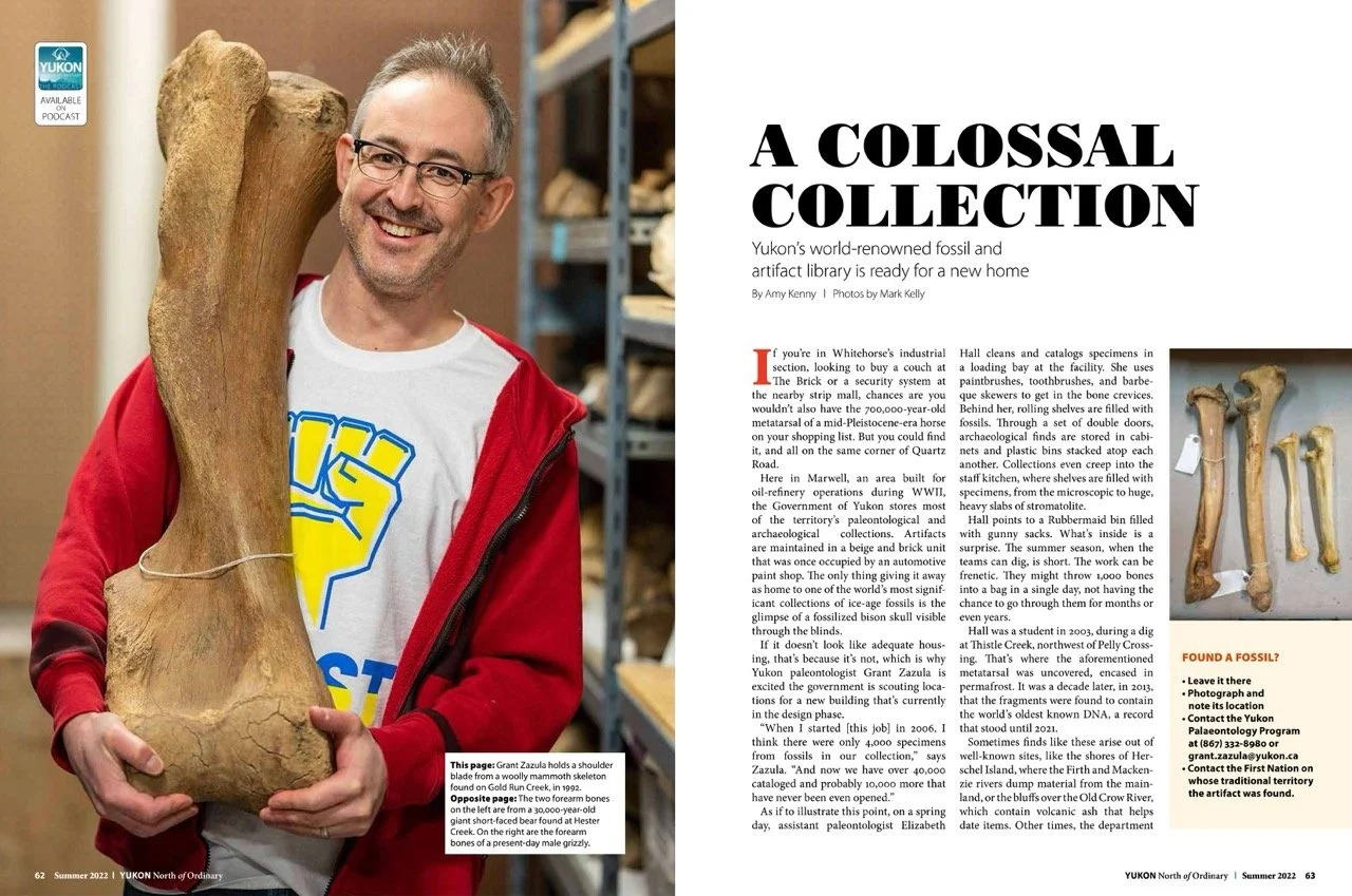 V16I2_Fossil collection-1 Large.jpeg