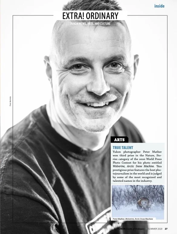 YNoO V14i2 Final lowRes 14.jpg