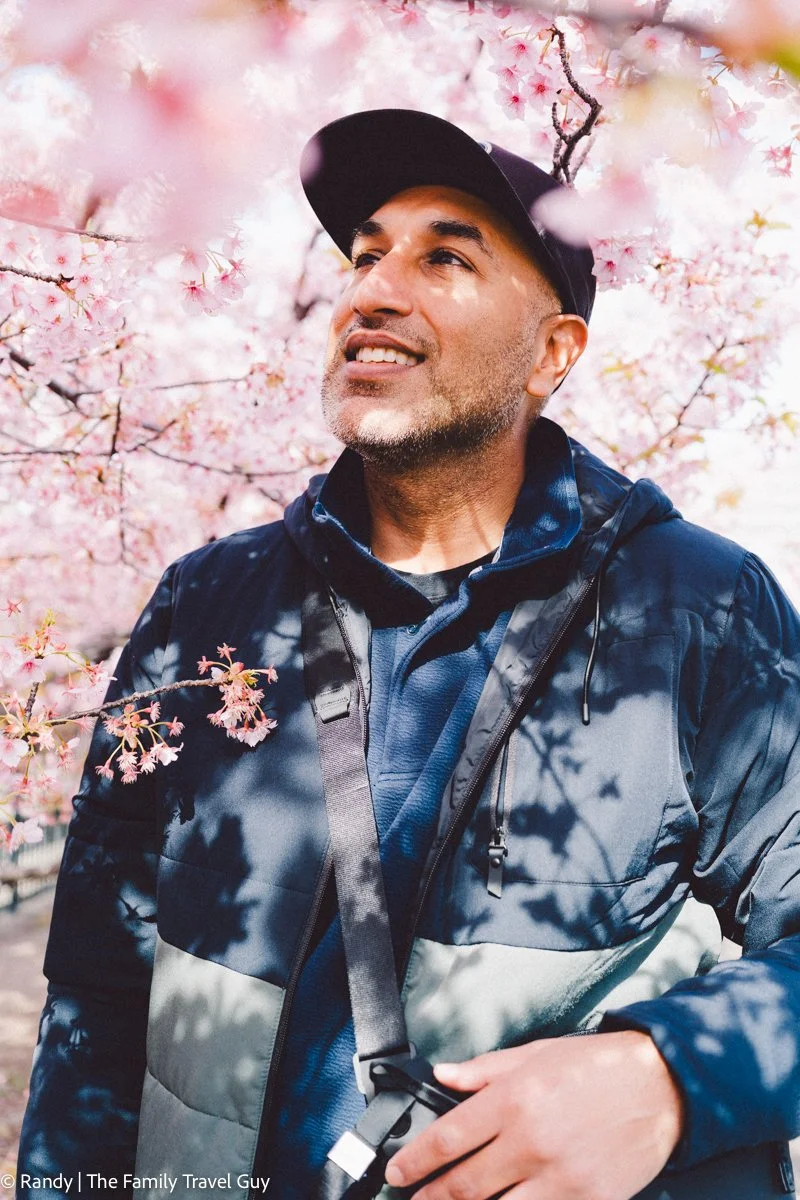 A man smiling and looking upward among pink cherry blossoms in blossom on a cloudy day. He is wearing a dark jacket, baseball cap, and carrying a backpack.