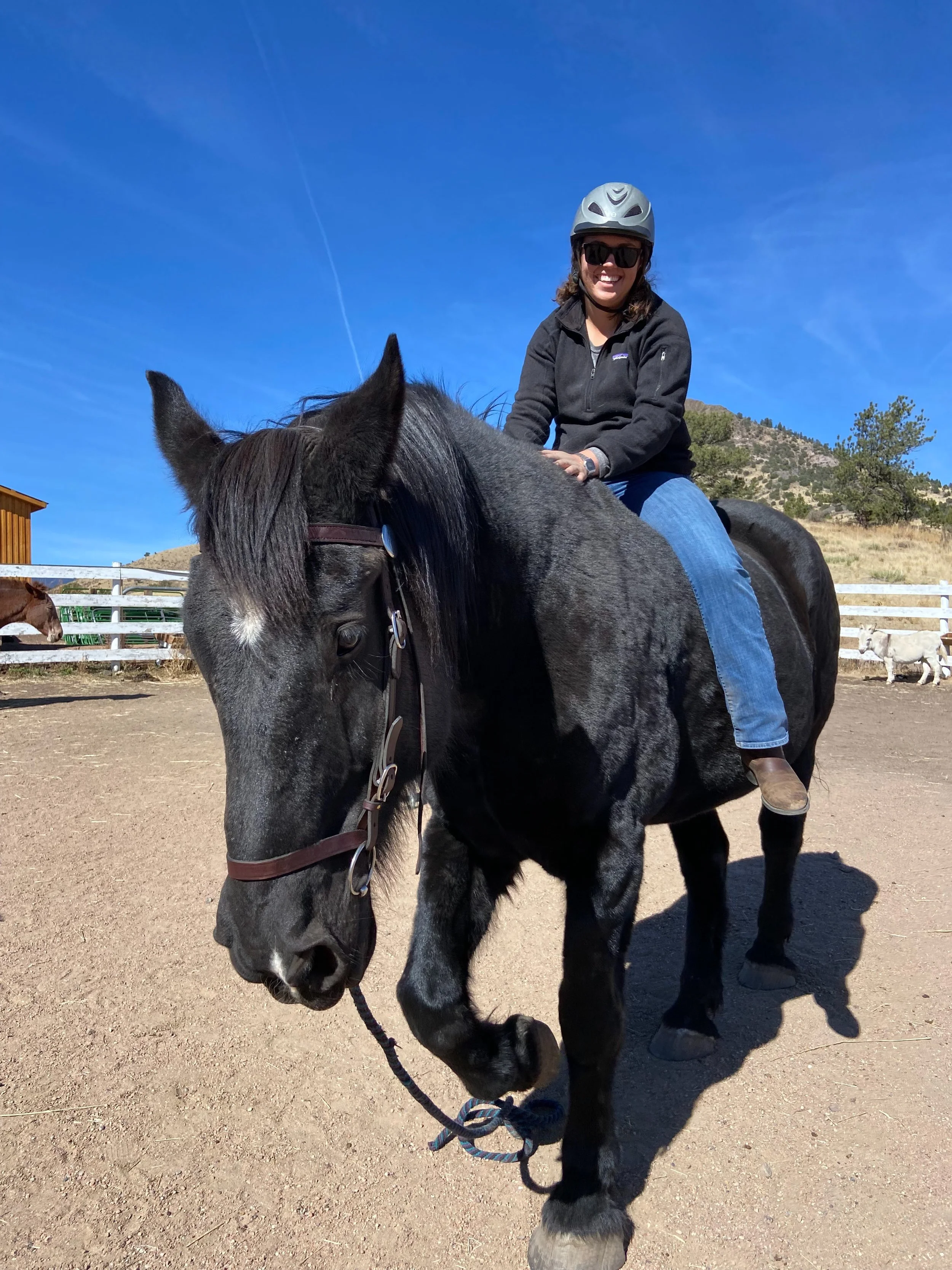 J146 Animal Ambassador- Lute