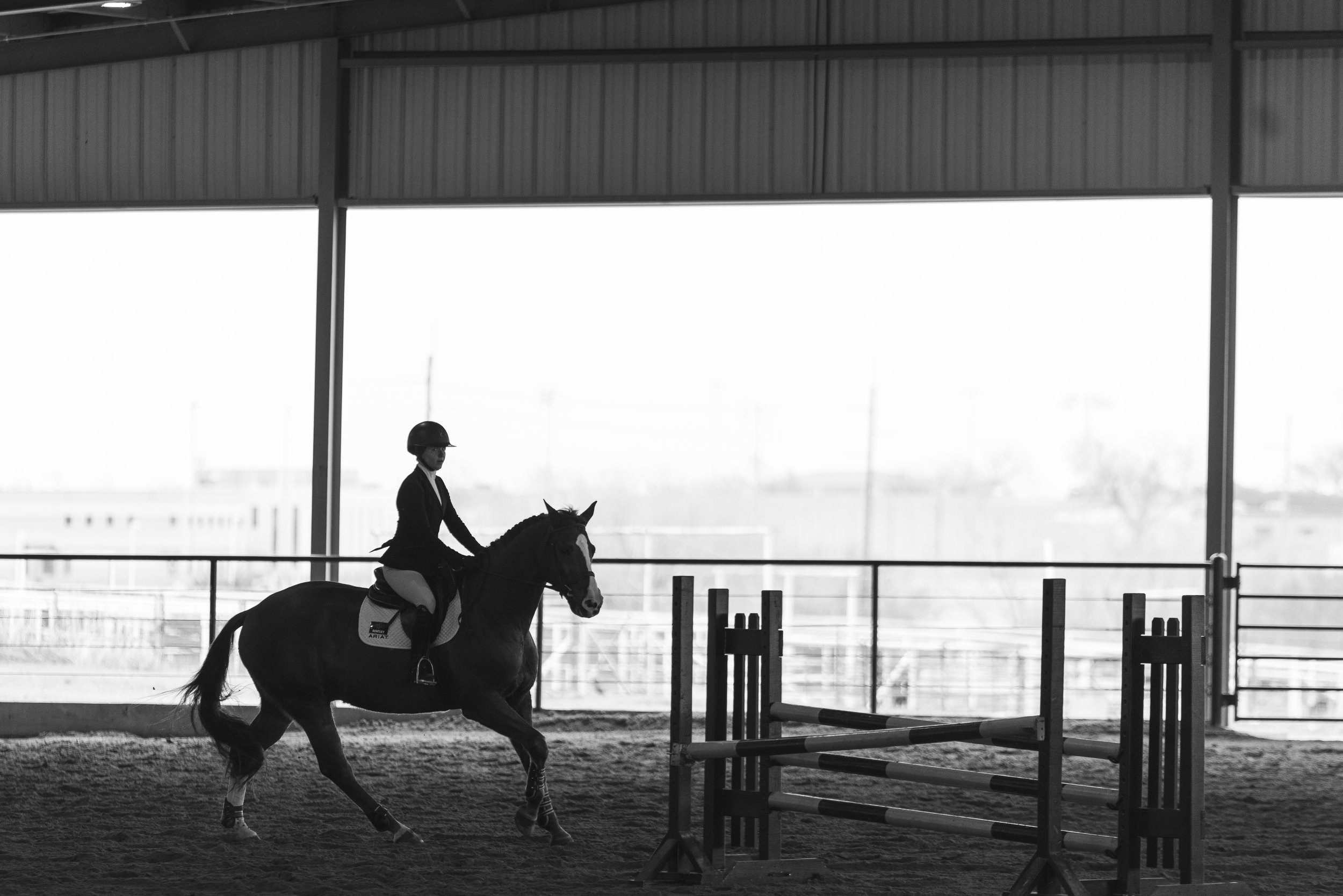equestrian-01.jpg