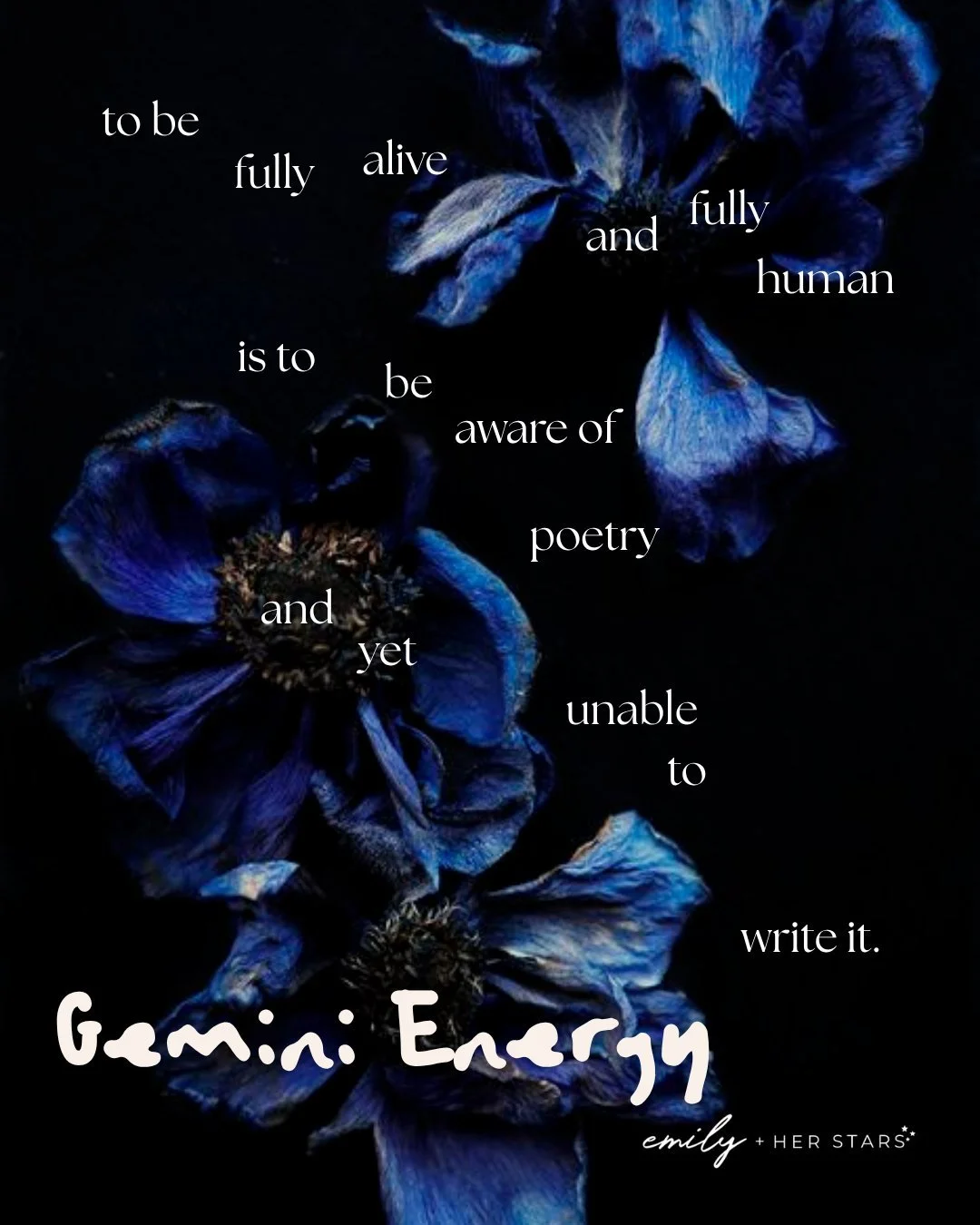 Gemini has an undeserved reputation.

For a sign that moves at the speed of thought, they have a hard time waiting for someone else to catch up.

They either have nothing to say or everything to say.

Either way, they only have one mouth.

#emilyandh