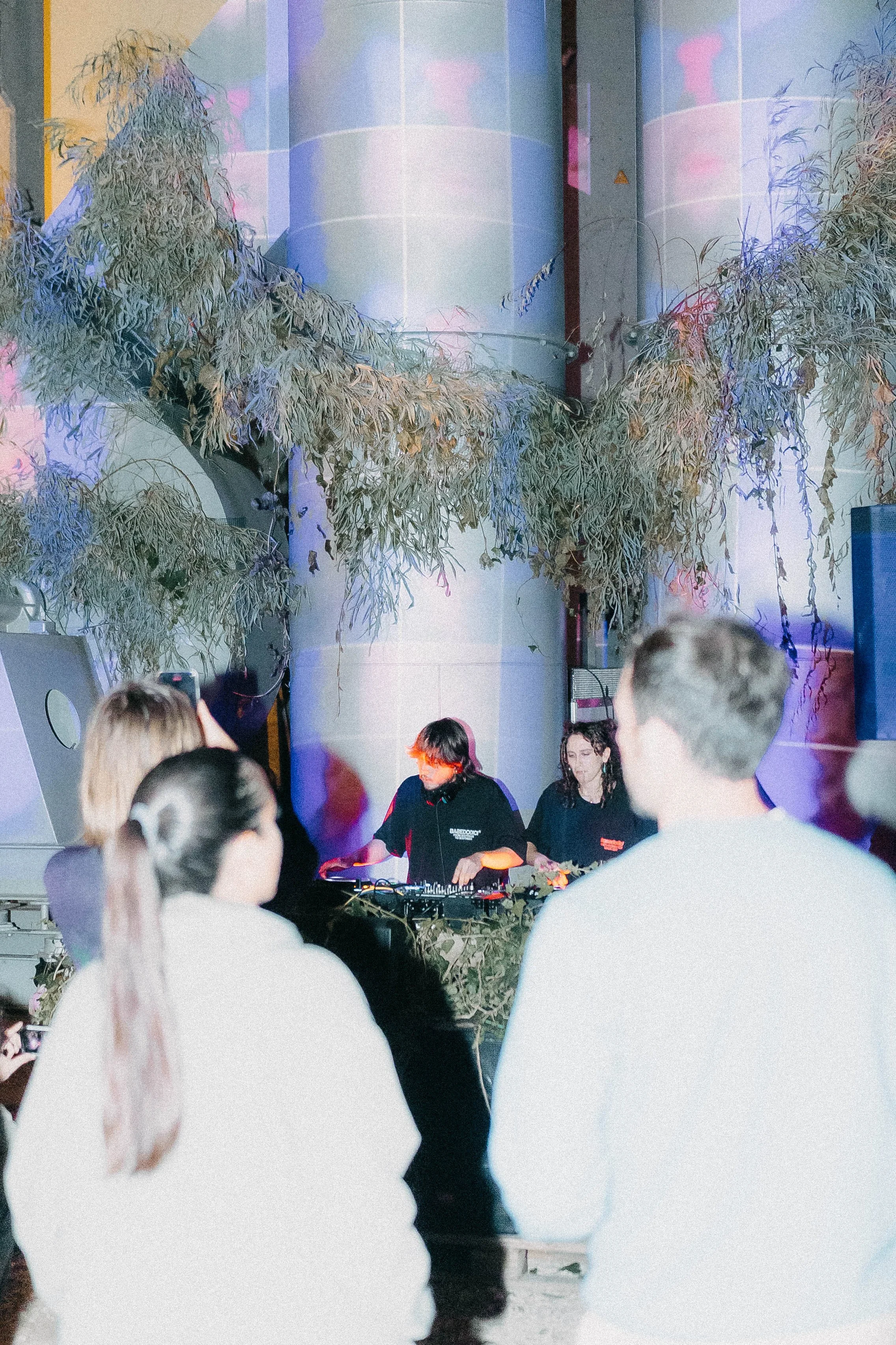 +++infestanti+++ curation and production