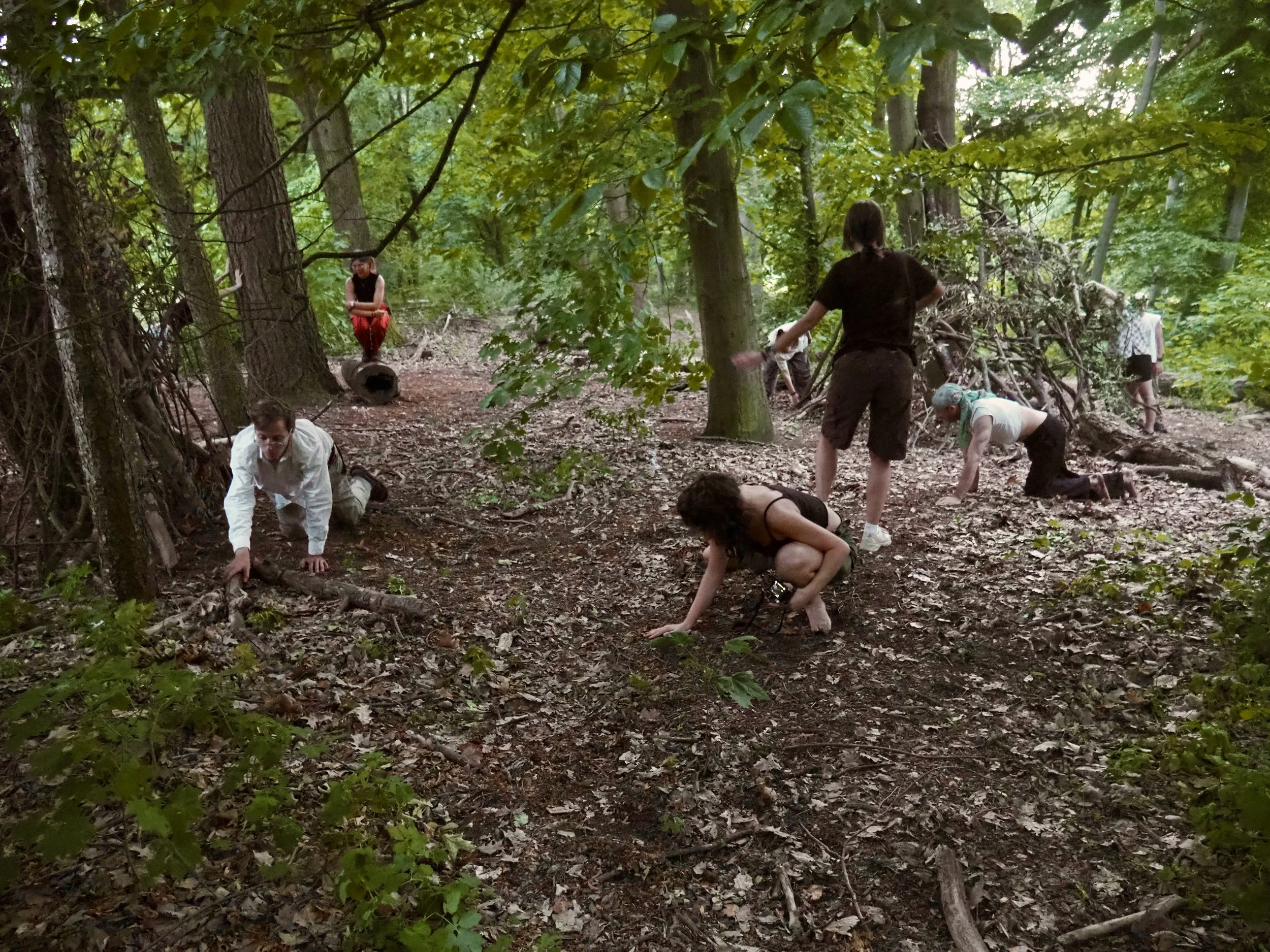 Shelters - transtemporalities - production, curation, workshop