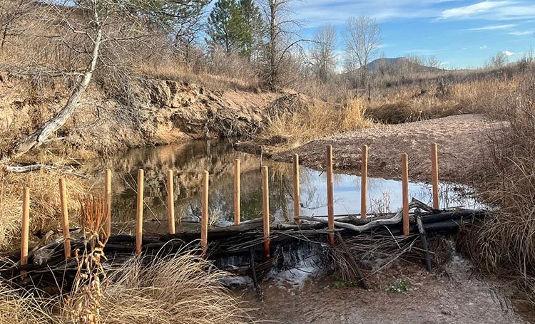 Beaver Dam Analog (BDA)    Part 2