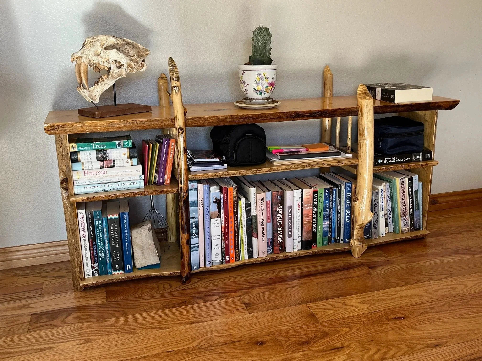 Beaver Cut Wood Carpentry