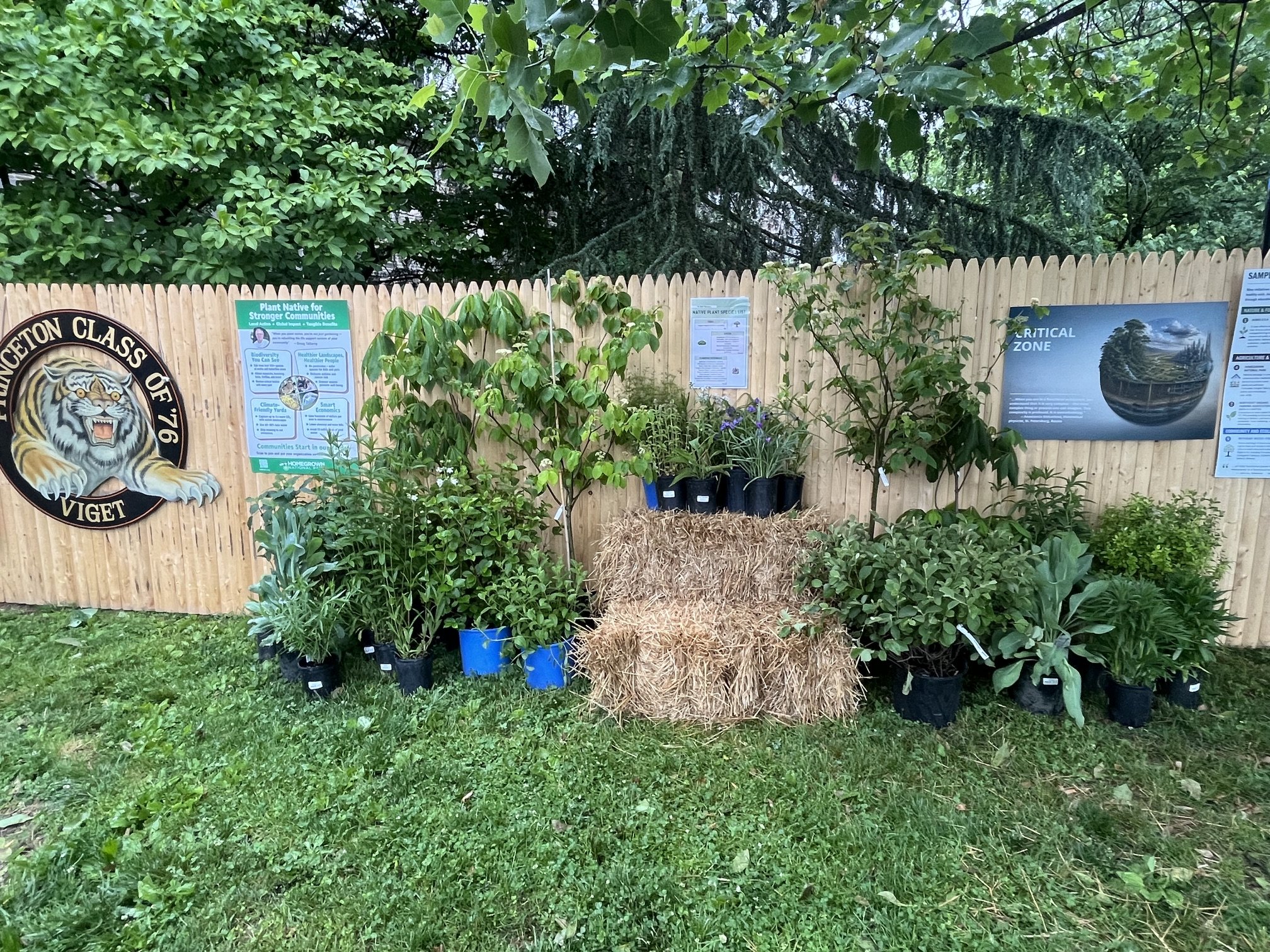 Princeton Reunions and Sustainability