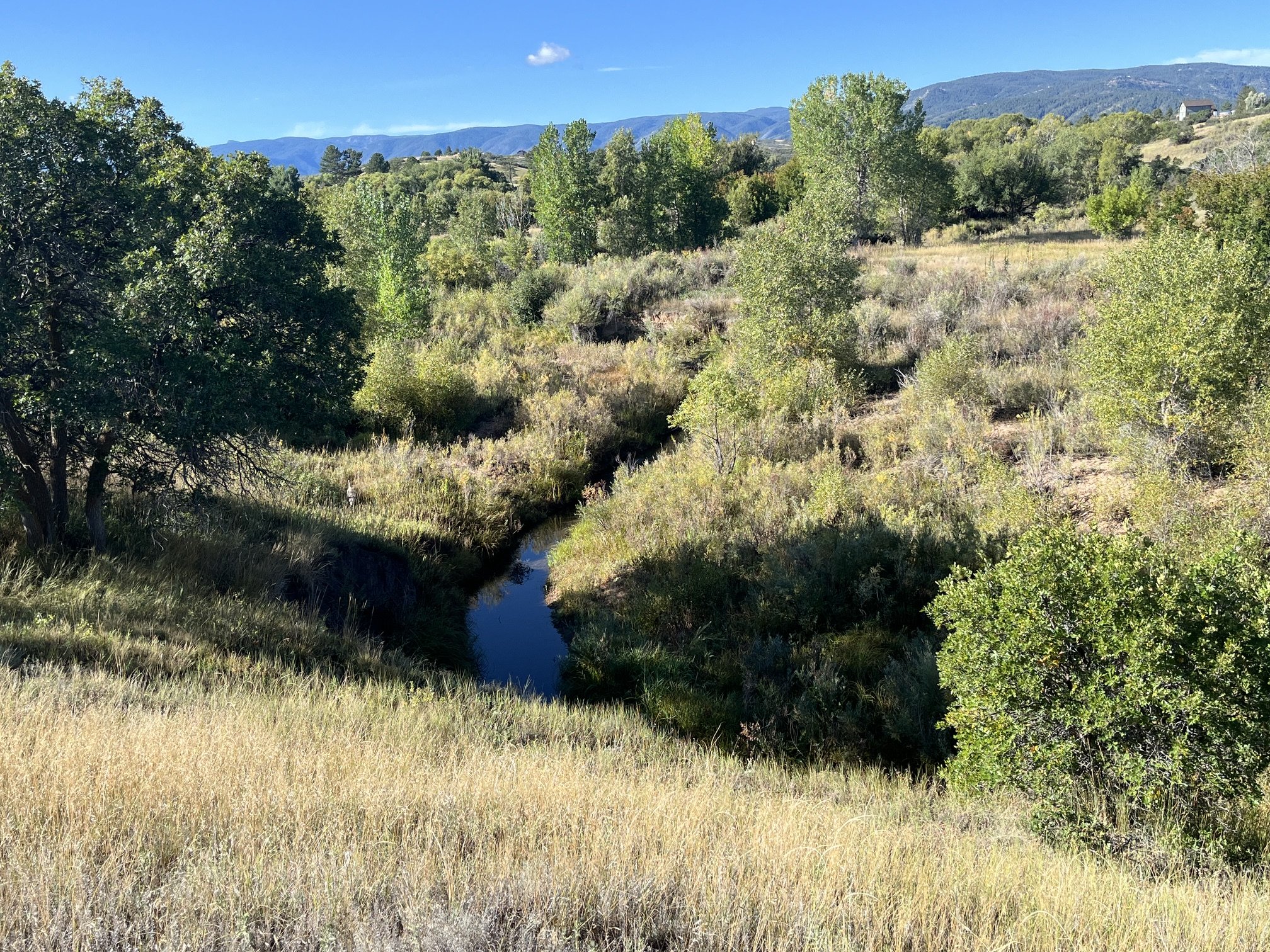 Environmental Flows Cohort Training