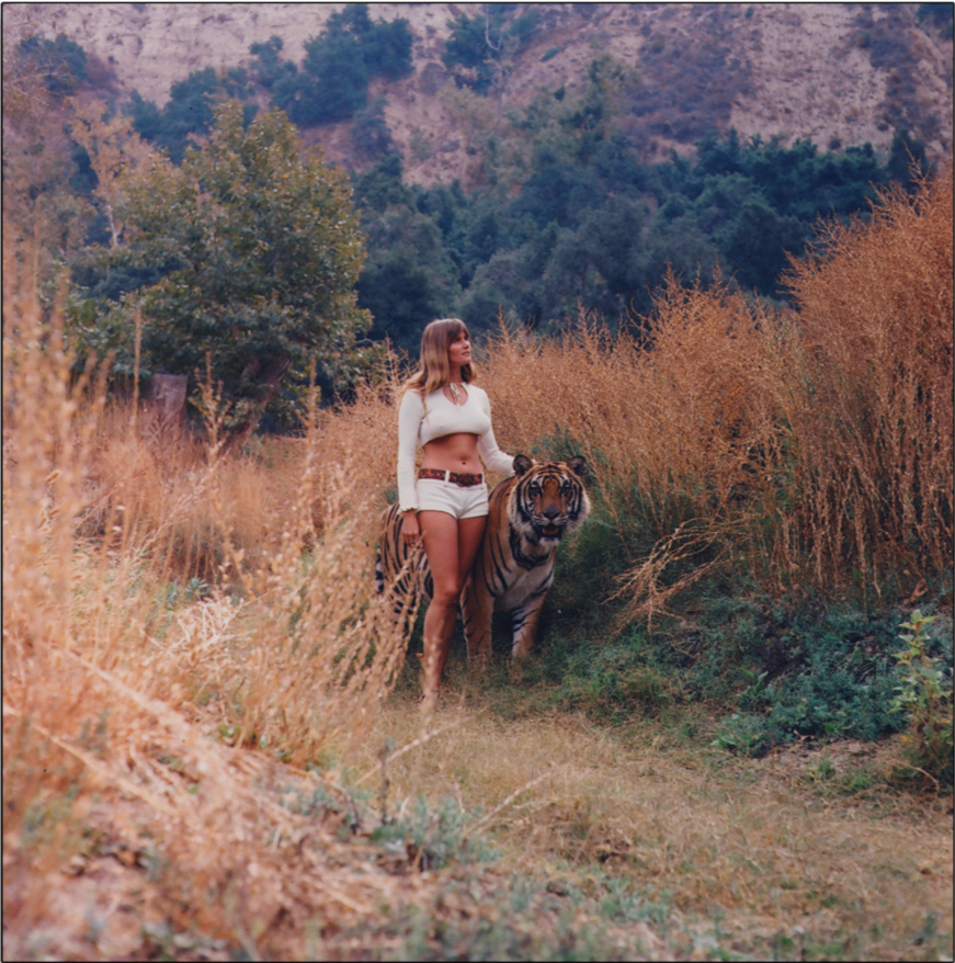 Susan Walking Gombi