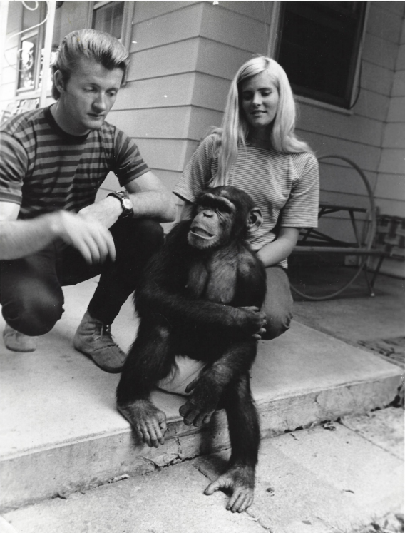 Monty & Susie & Judy the Chimp