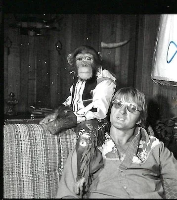 Monty _ Chimp.jpeg