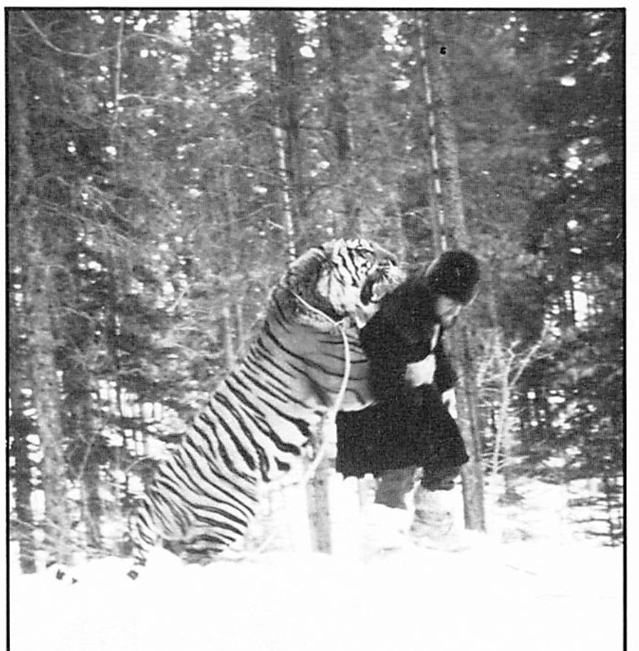 Tiger Attack.png