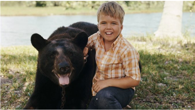 Gentle Ben-Clint C.png