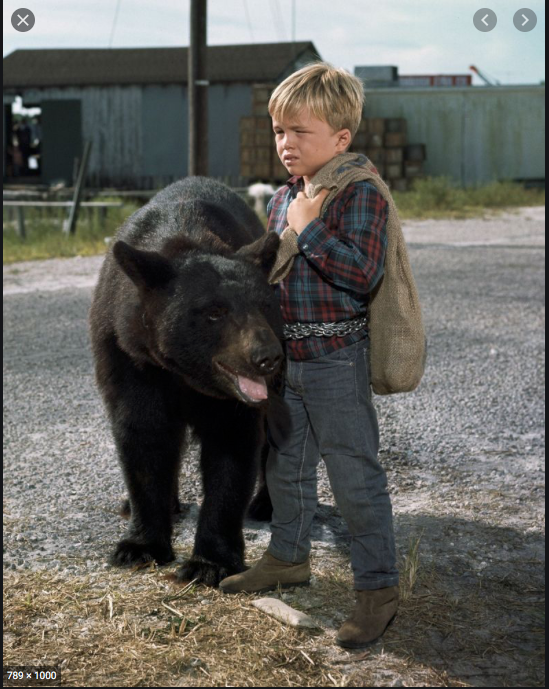 Gentle Ben-Clint B.png