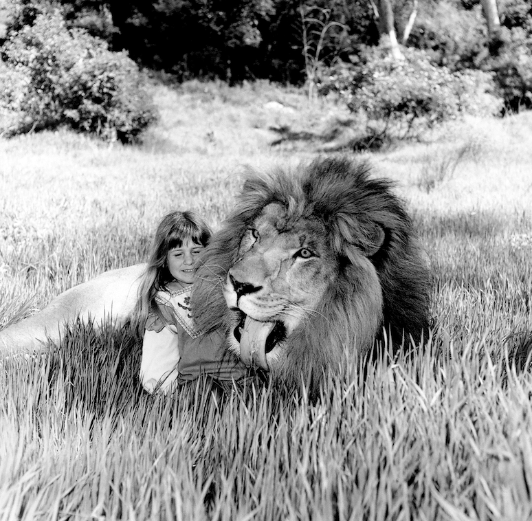 Dina Nestled in Giant's Head-Susan's daughter