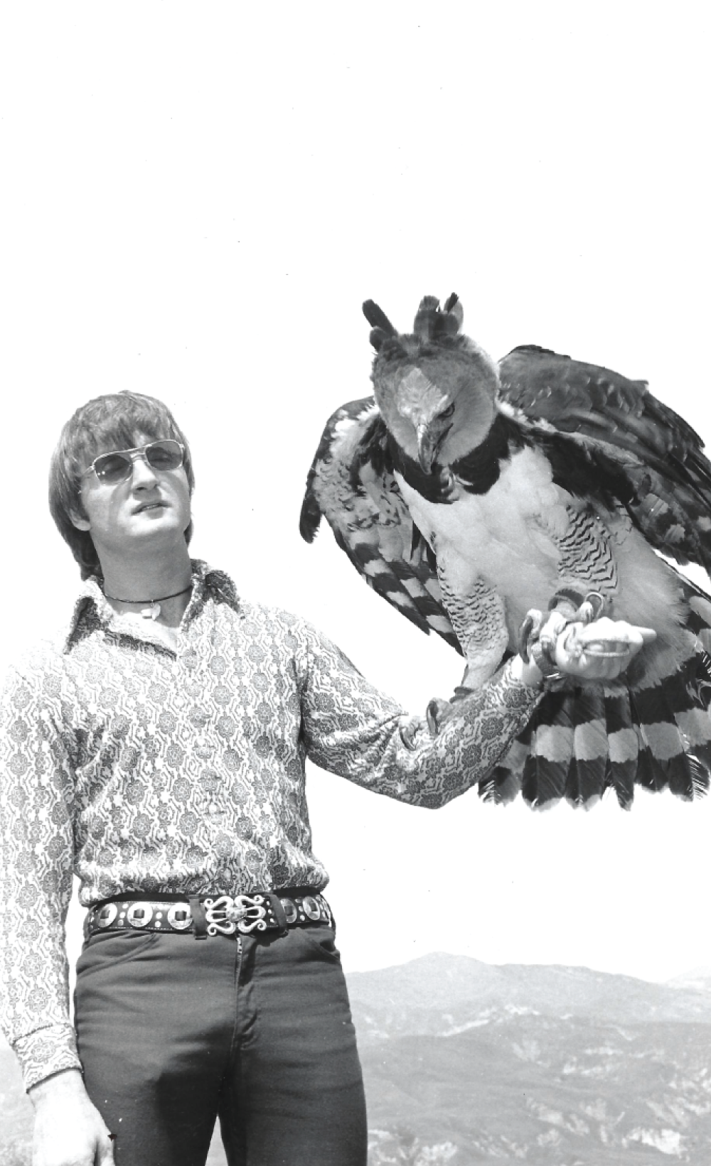 Monty_cox_2.png