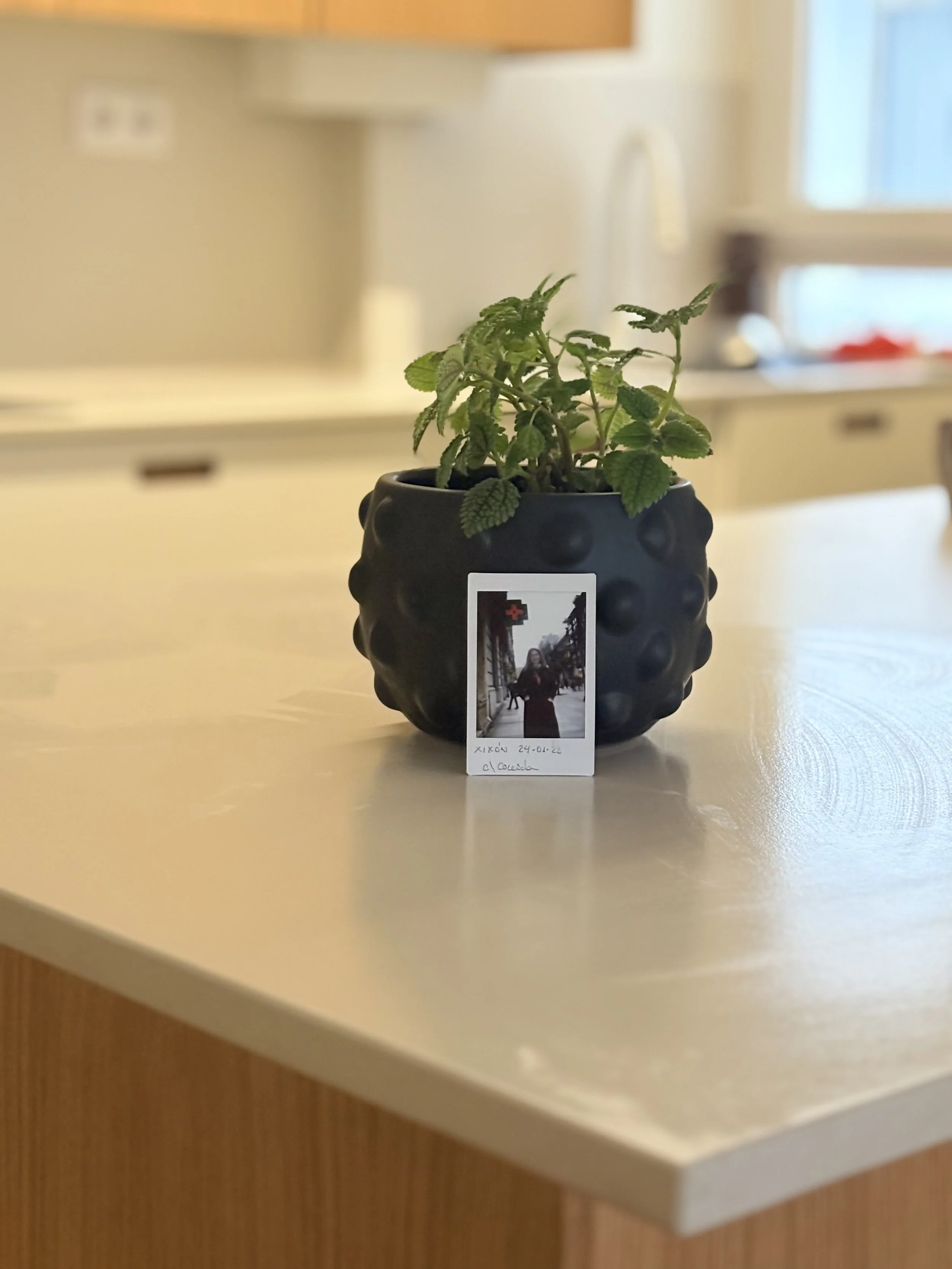 Los sábados por la mañana