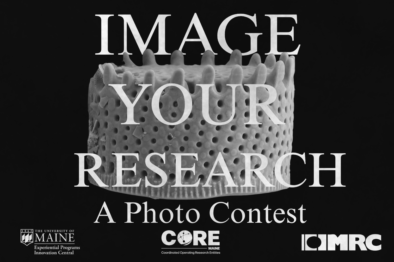 Imaging Your Research: A Photo Contest, 2025