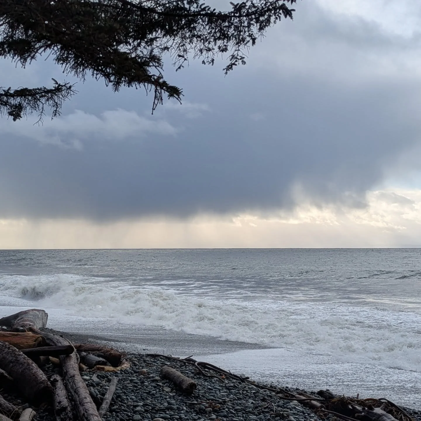 Today wasn't the stormiest of mornings ❤️🌊
But the remnants of the past 36 Hrs could still be felt... 
3-5 m tall waves, wind &amp; returning tides. It was beautiful, chilly &amp; golden. 🌦️
#BCStorm #vancouverislandstormwatching #yyj #frenchbeach 