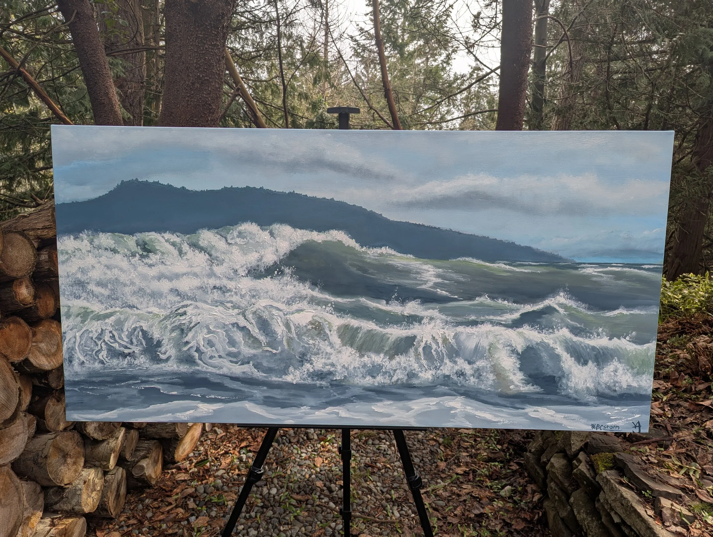 #BCStorm Forever Light. Island View, 1 PM (Commissioned)