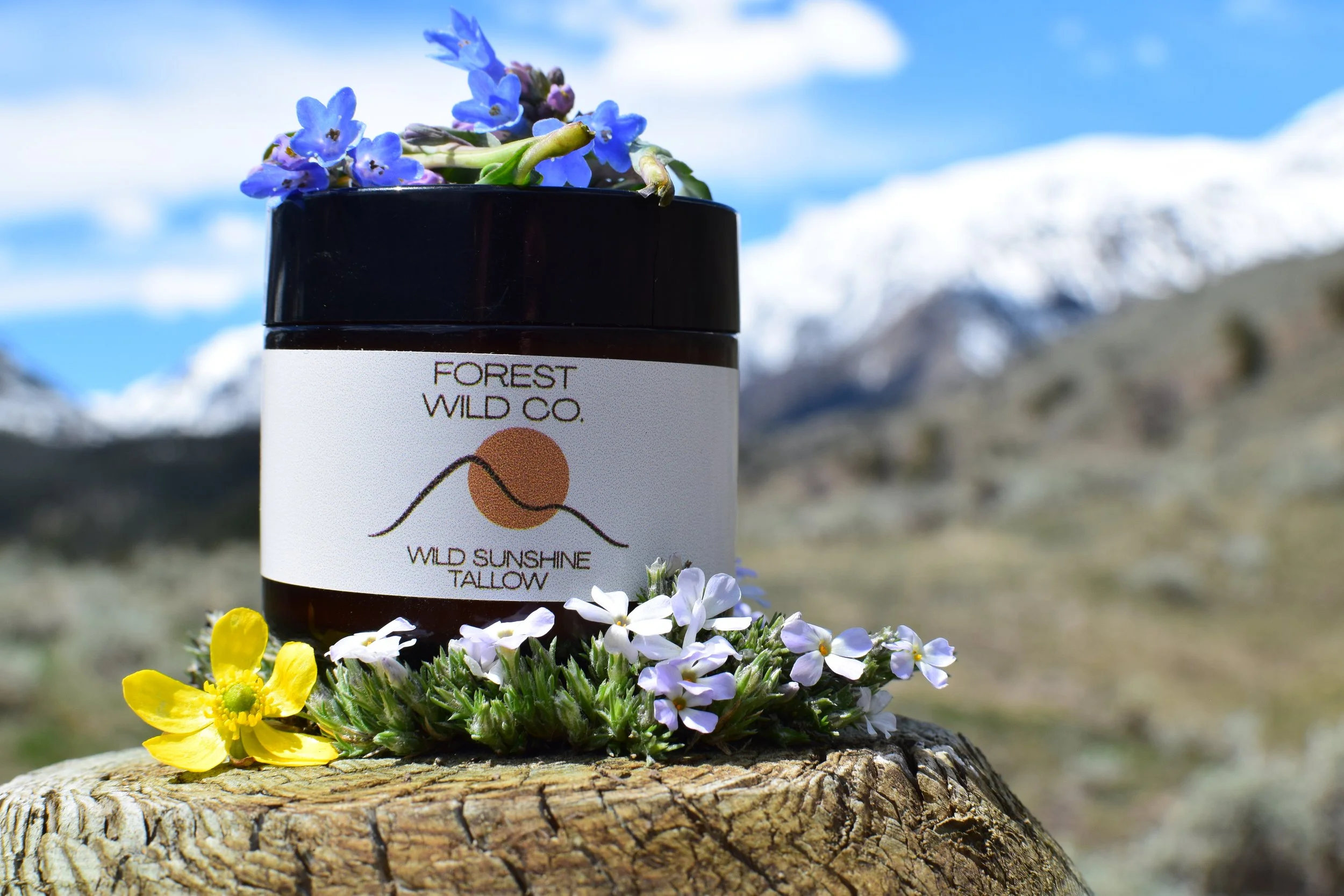 Wild Sunshine Tallow Balm