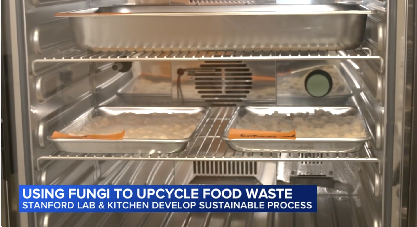 Lab featured on ABC news!