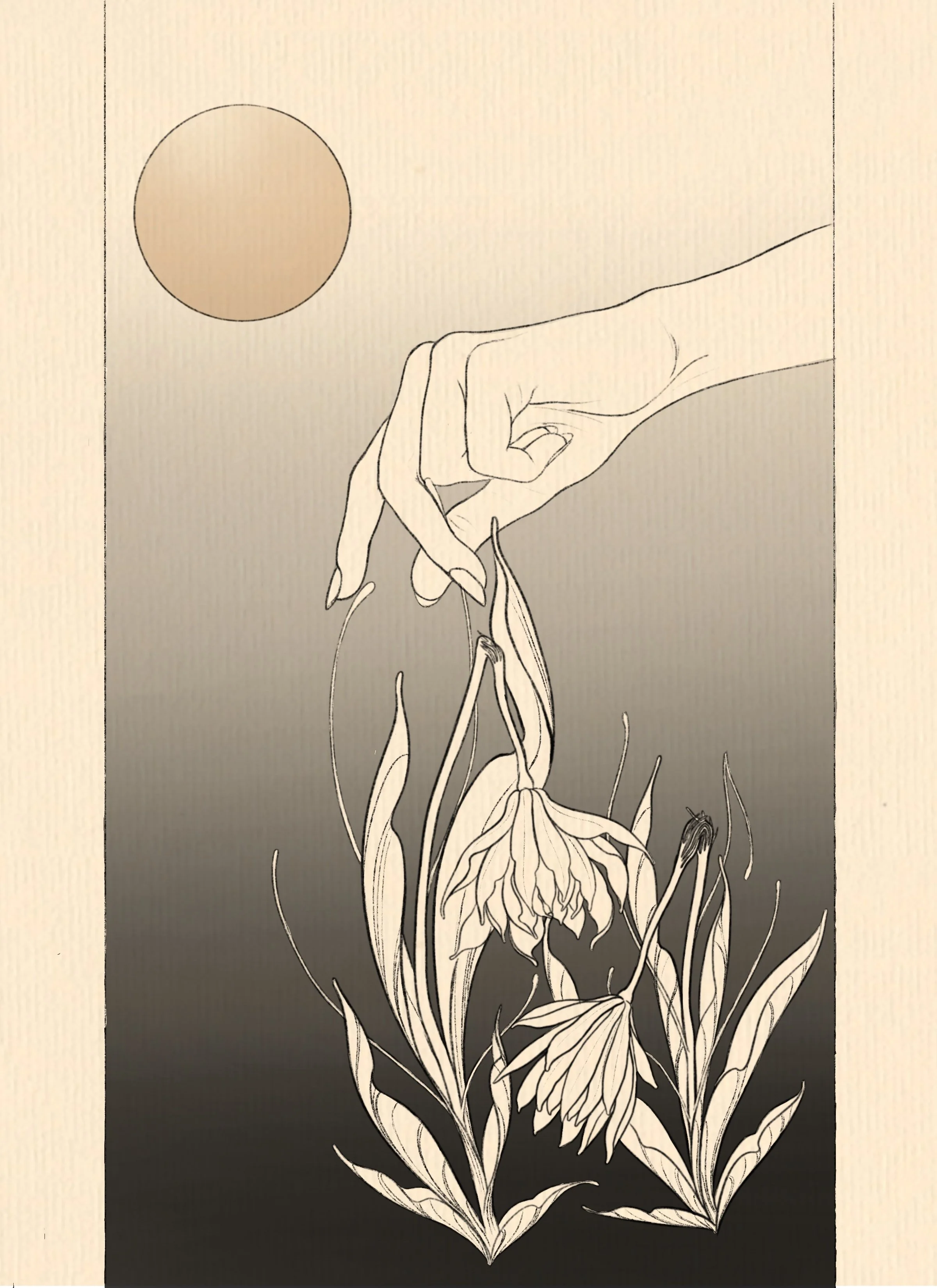 Untitled_Artwork 5.JPG