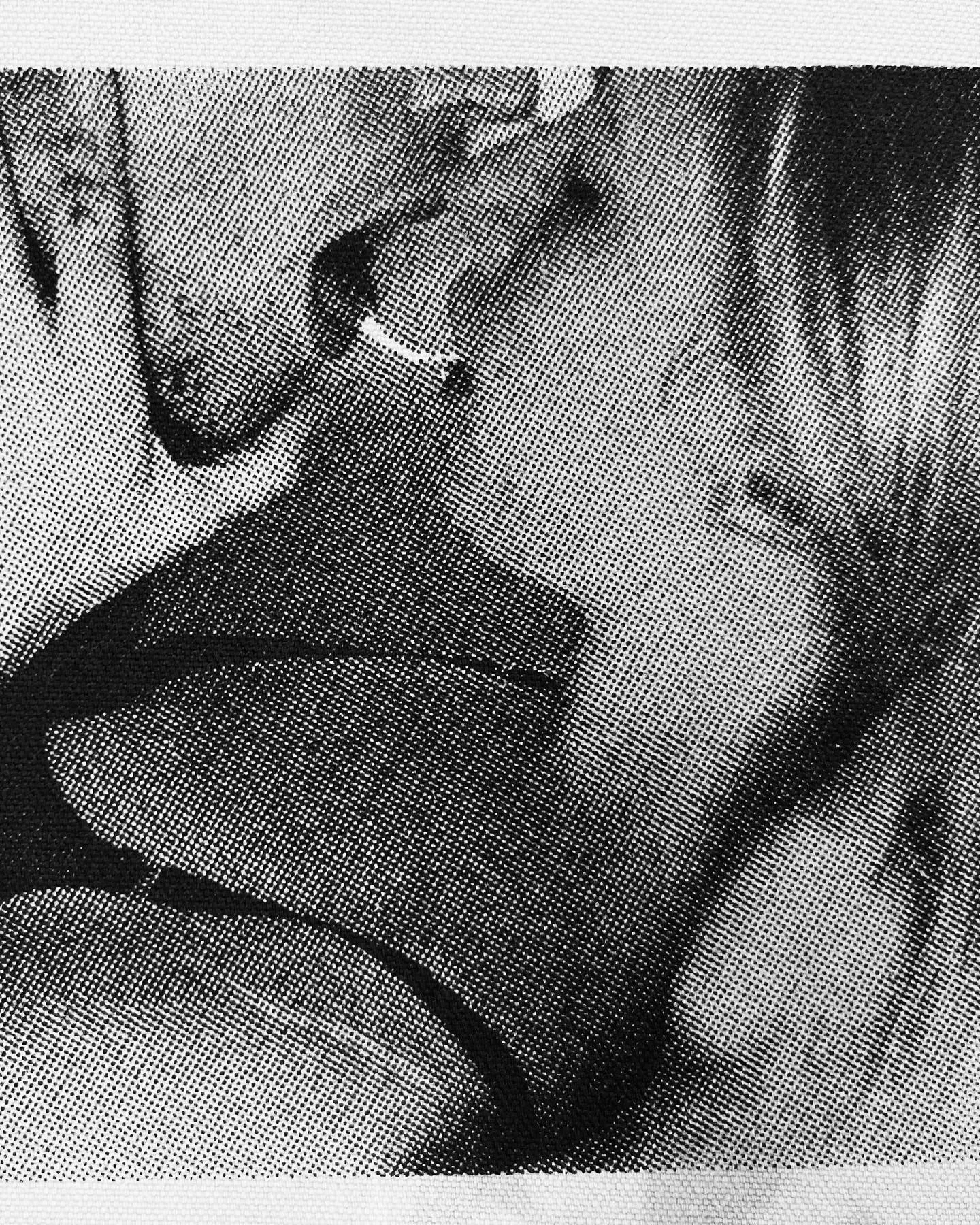 And I Will to You. 2023.
Silkscreen on Canvas.