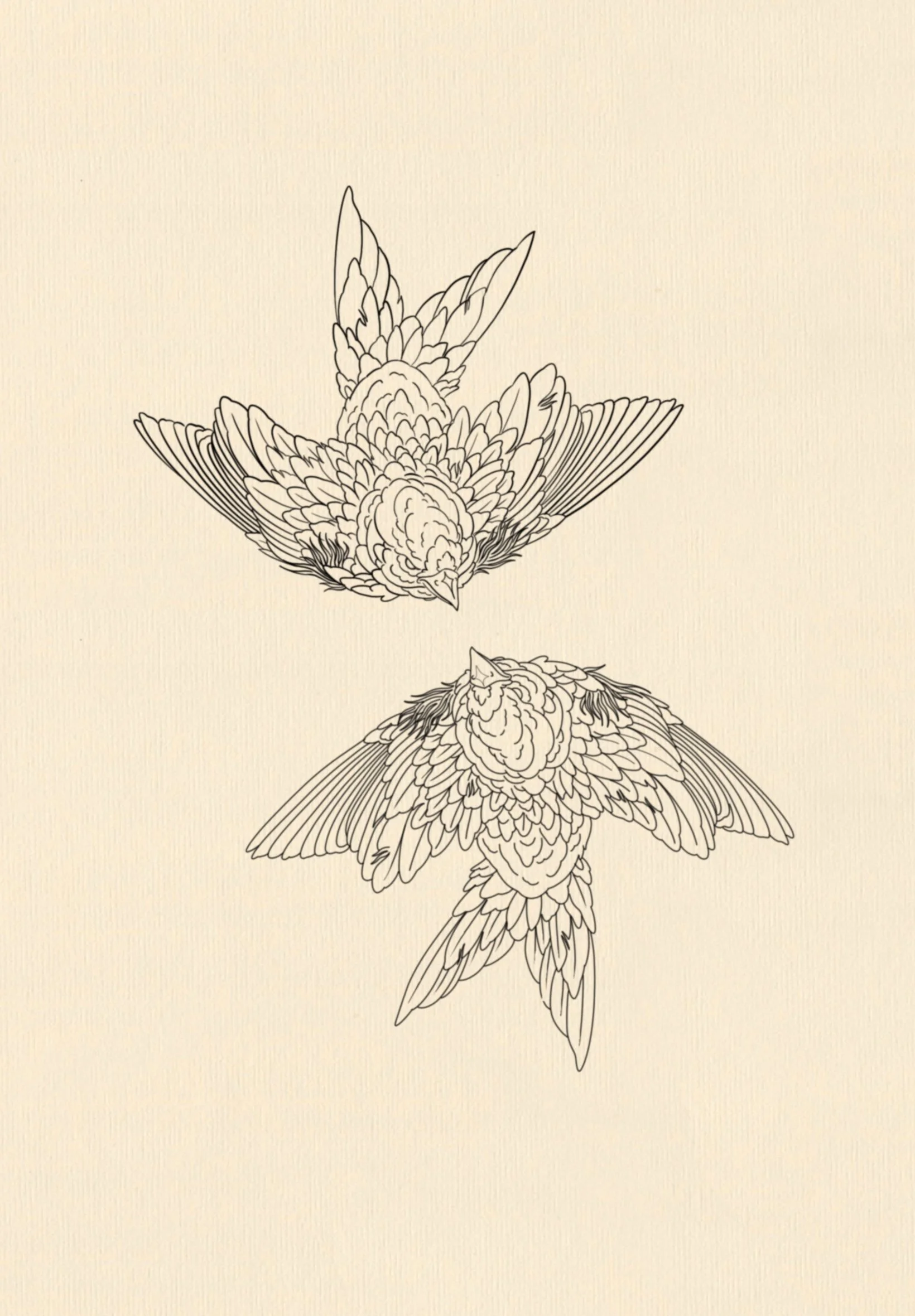 Untitled_Artwork 4.JPG