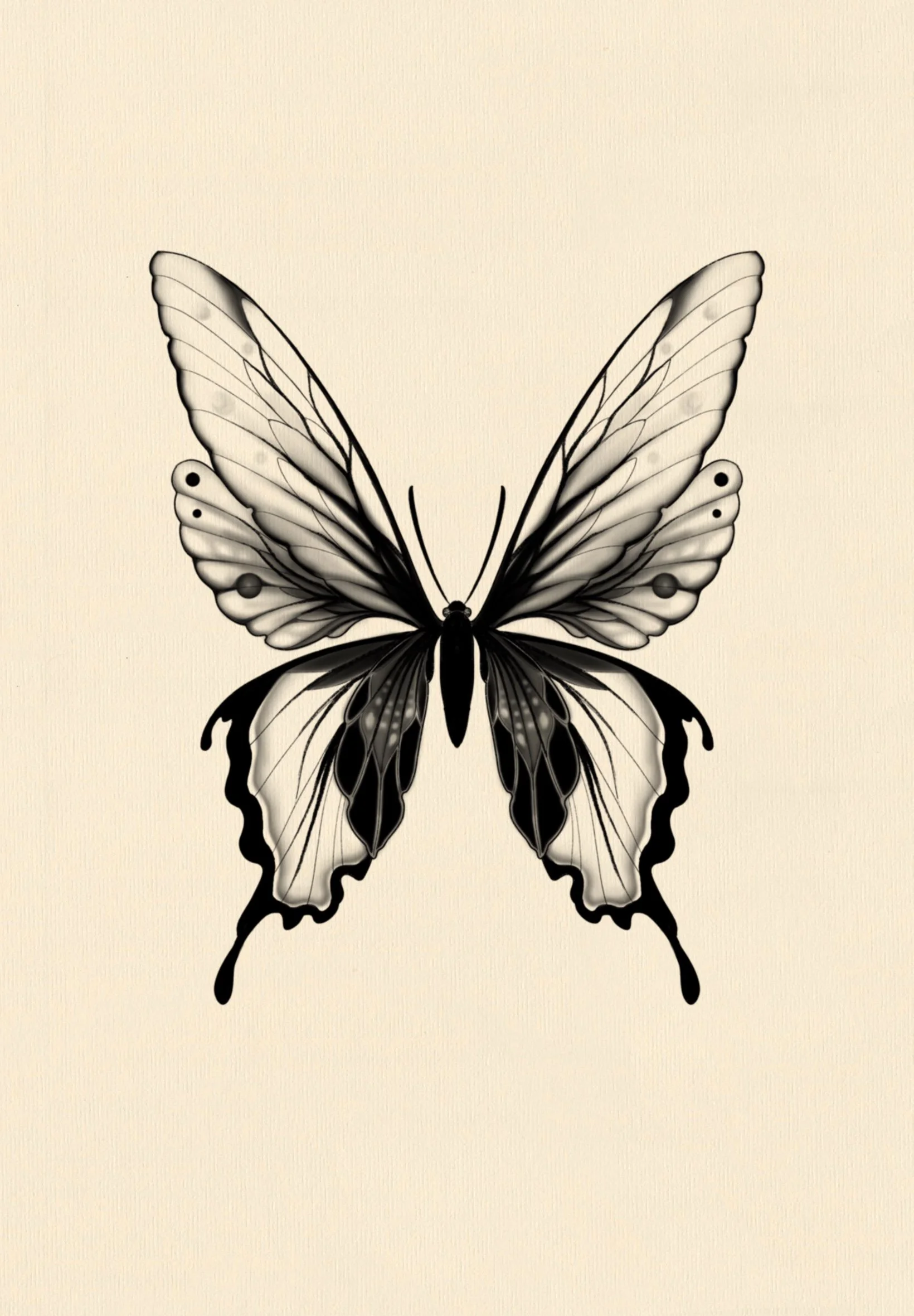 Untitled_Artwork 3 copy 4.jpg