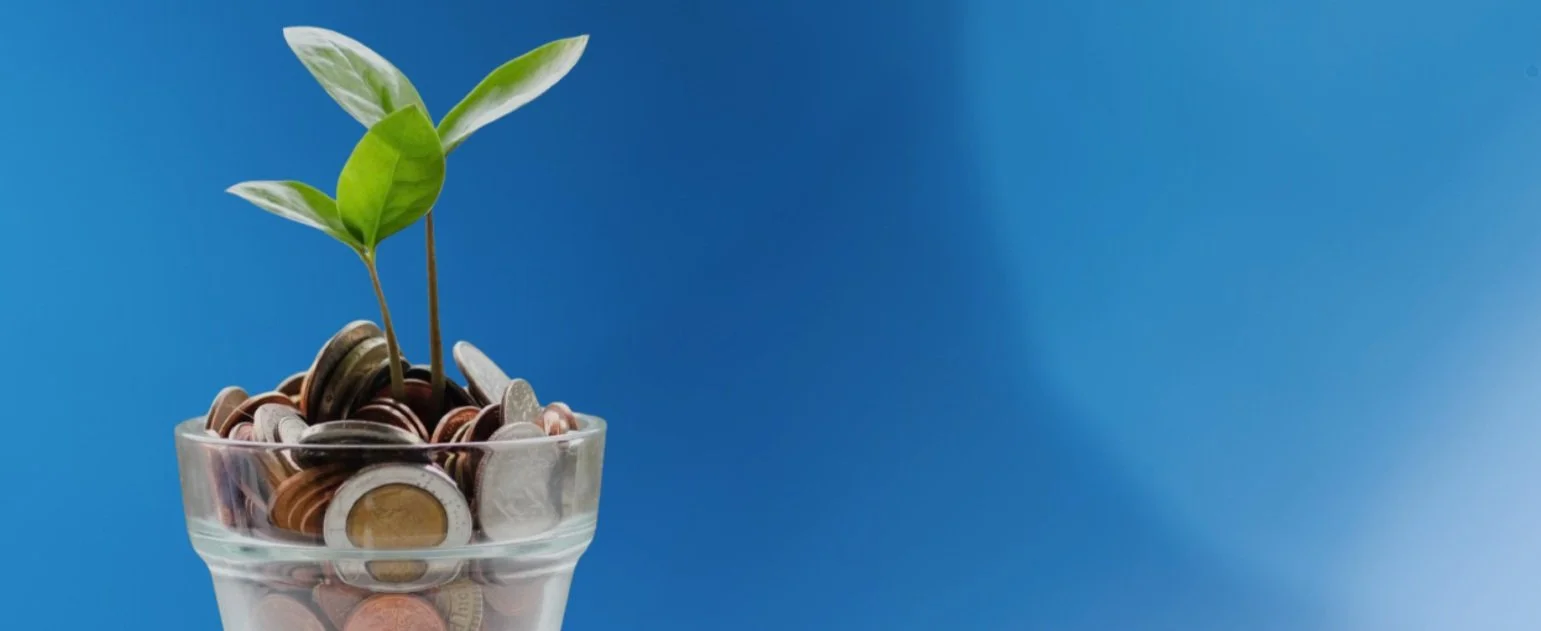 General 2 Evergreen Mountain General 2 evergreen mountain