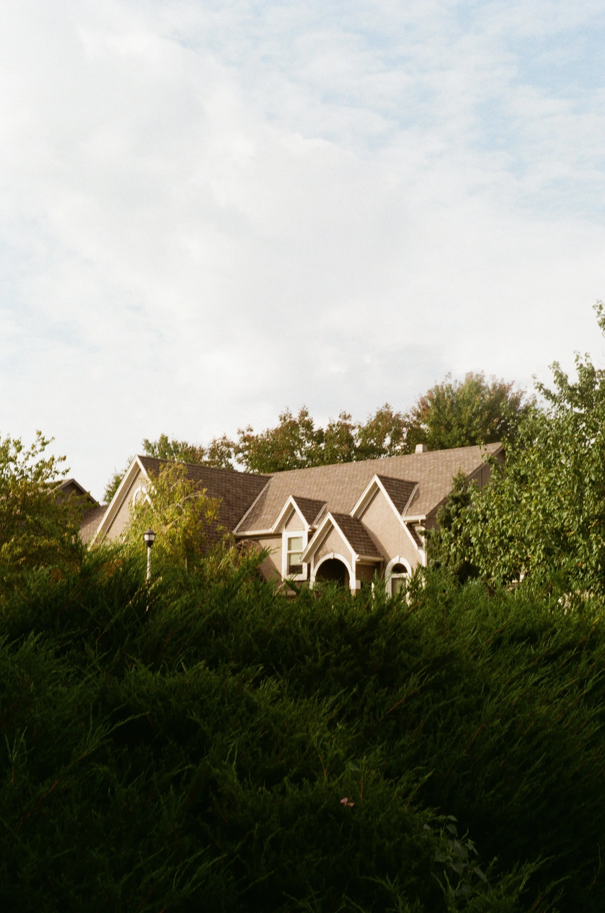 A house peaks through the trees