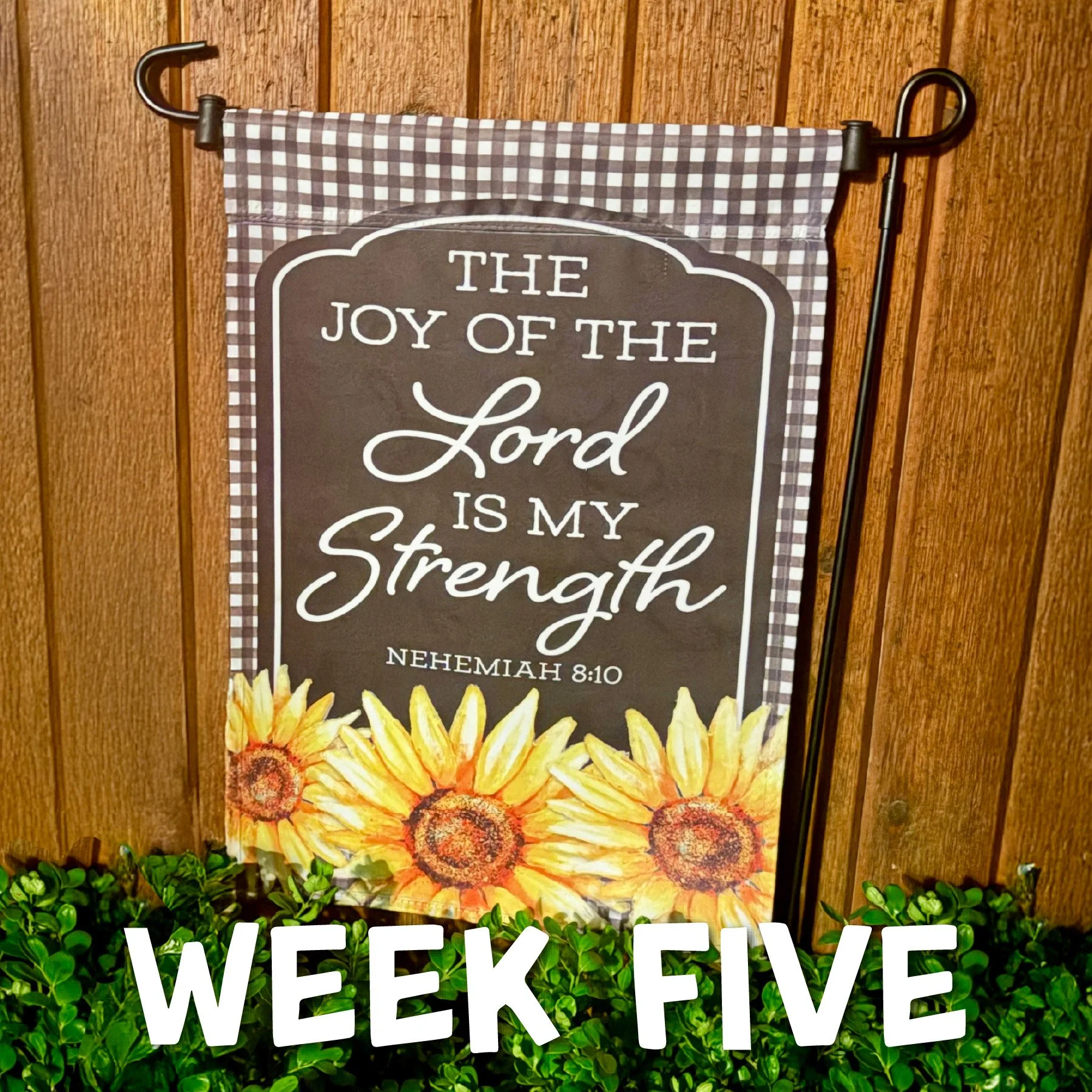 Joy in Motion: WEEK FIVE
