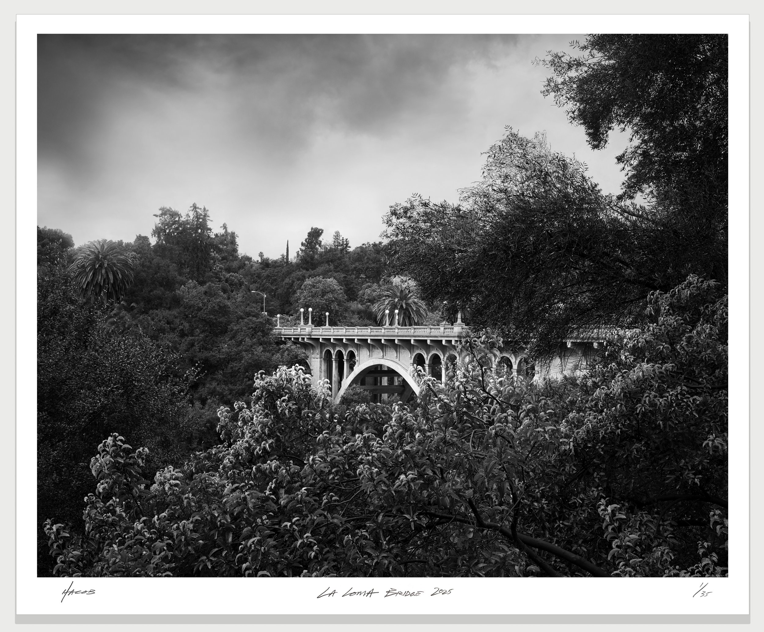 2241010-San-Rafael-Bridge-121-TPZS.jpg