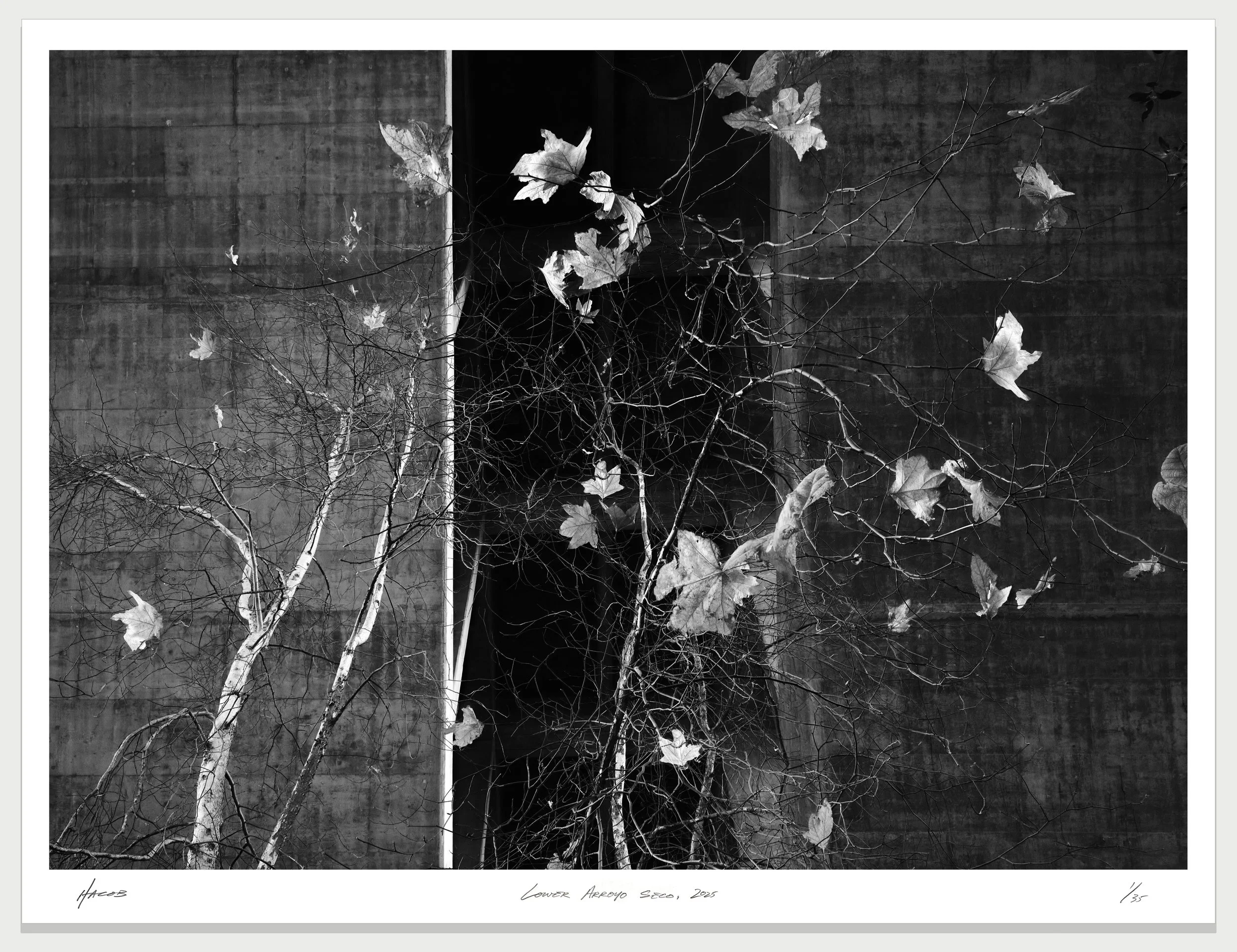 2250125-Colorado-Bridge-Arroyo-Seco-Leaves-V1.jpg