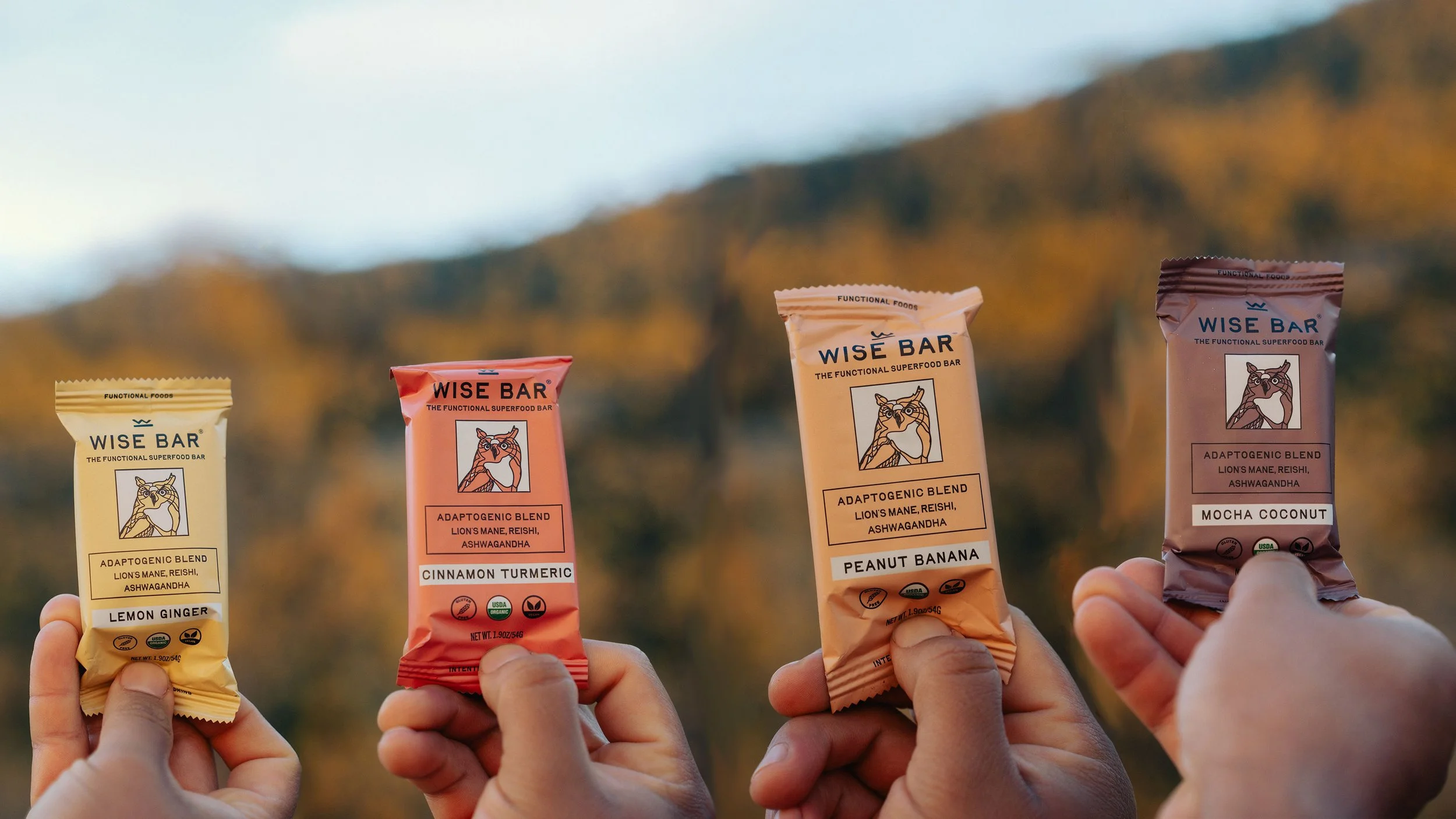 fall bars no text.jpg