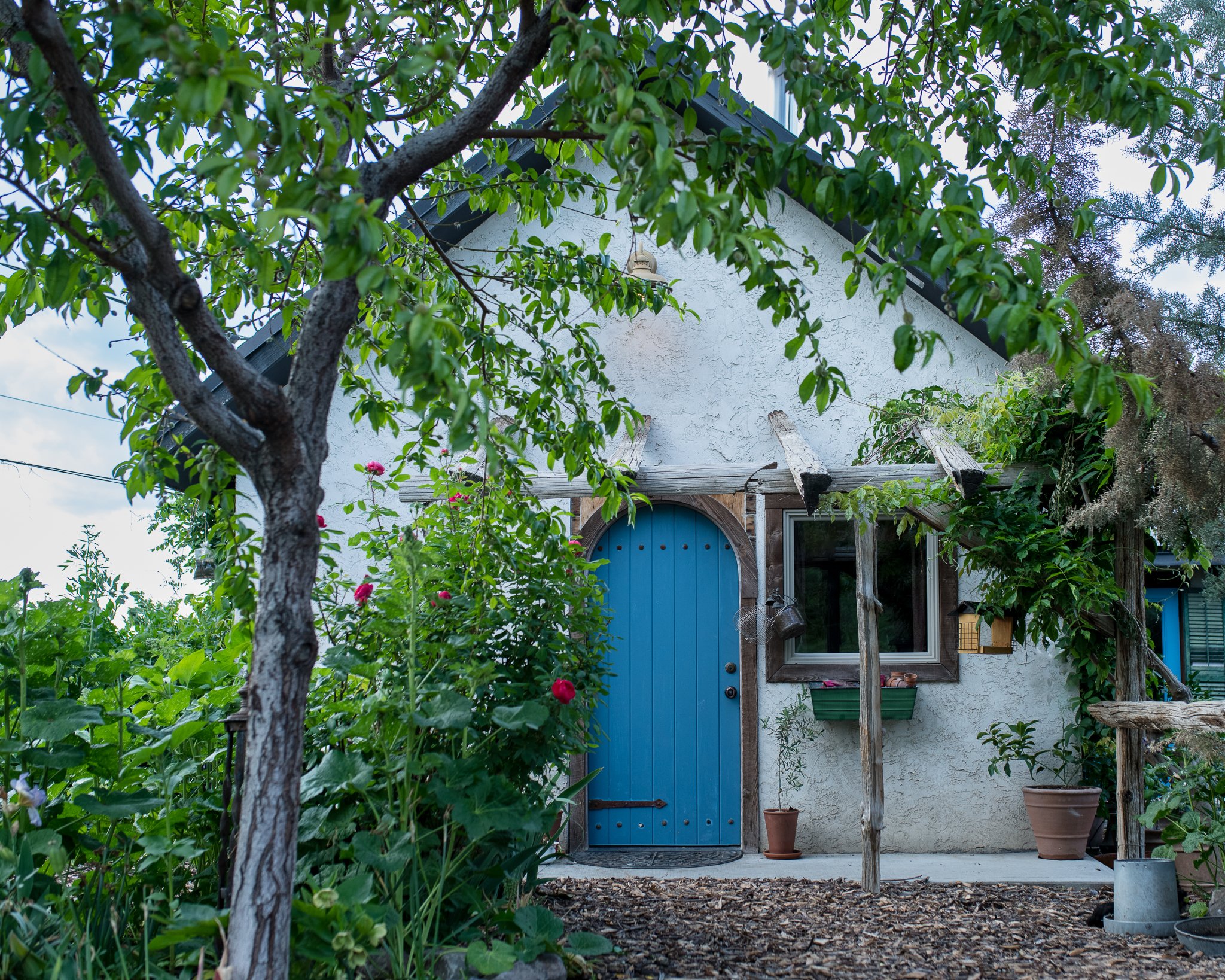 June Cottage Garden Tour