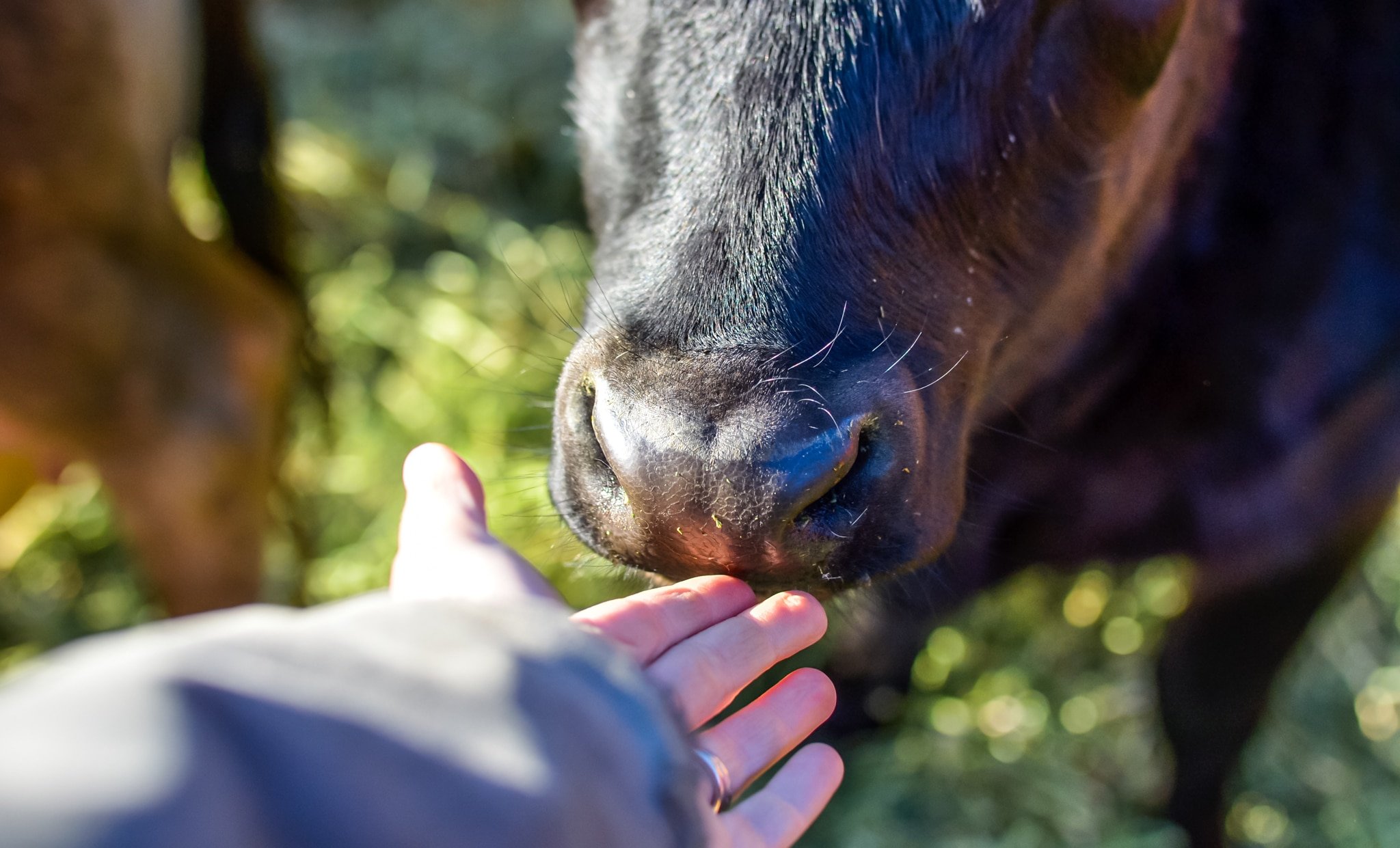 Dear Mayor Bloomberg