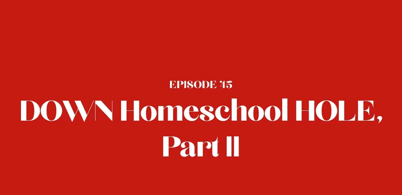 45: DOWN Homeschool HOLE, Part II