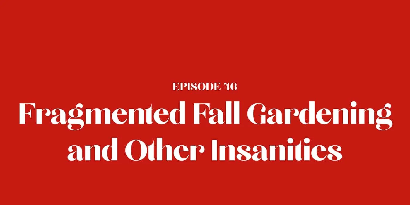 46: Fragmented Fall Gardening and Other Insanities