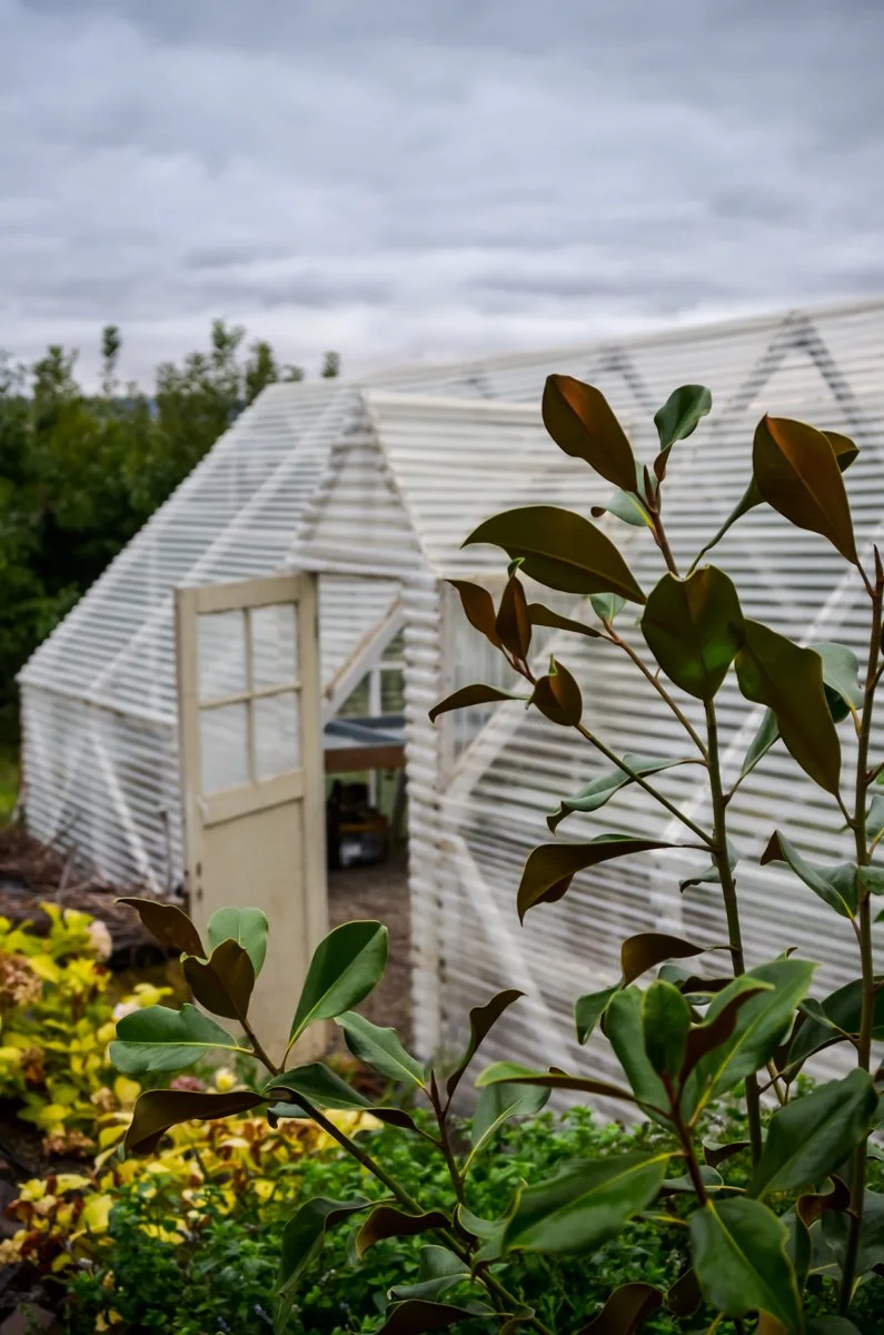 Creating a beautiful greenhouse.
