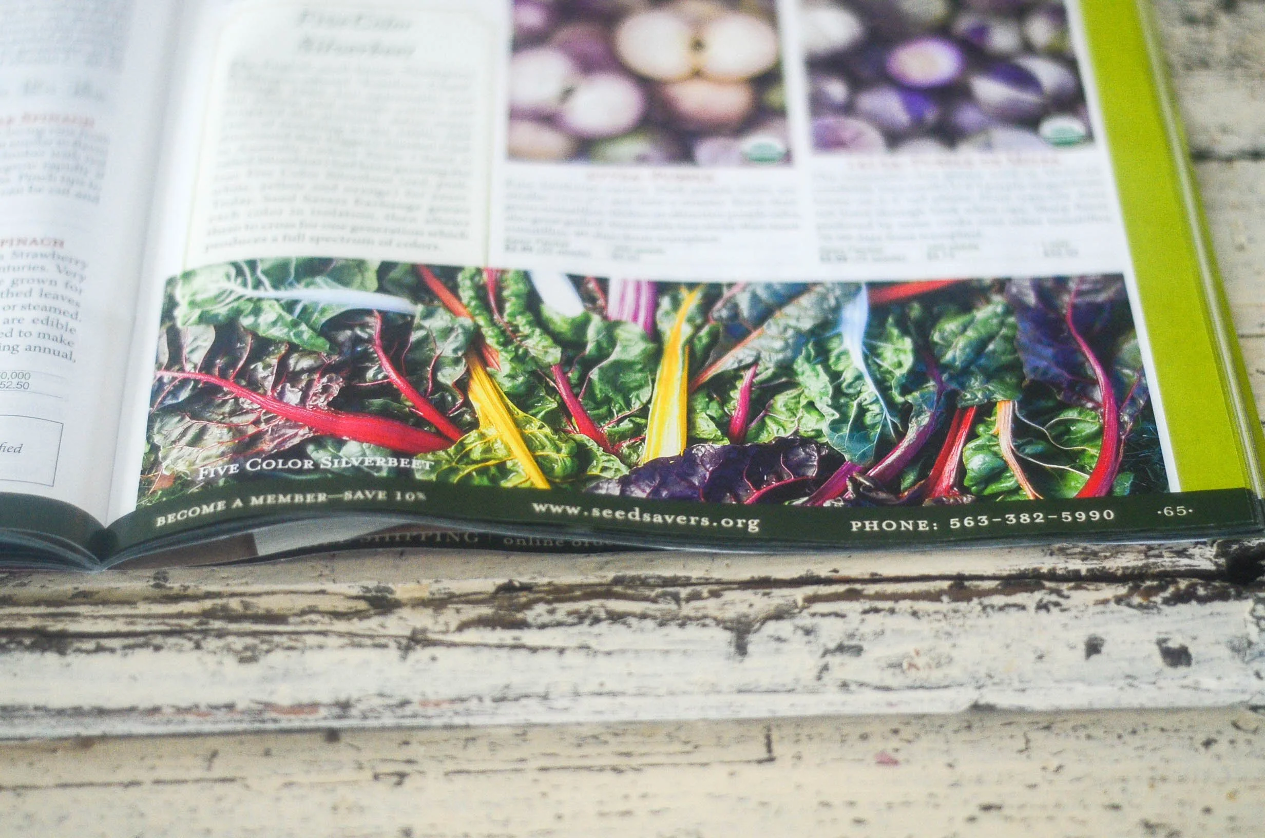 Our 2015 Heirloom Vegetable Varieties (and my favorite suppliers of heirloom seeds!)