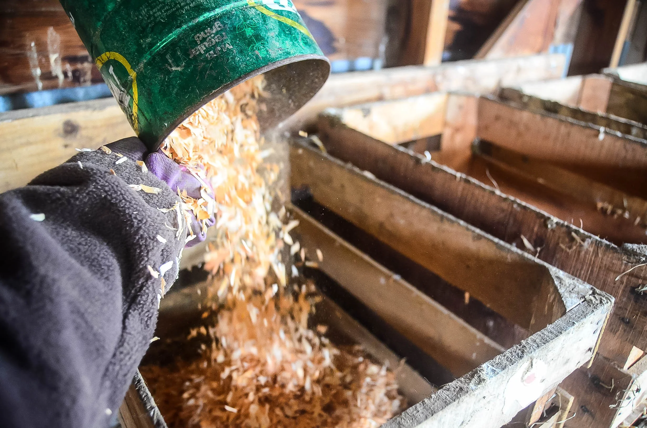 The Easiest Nesting Boxes For Your Chicken Coop
