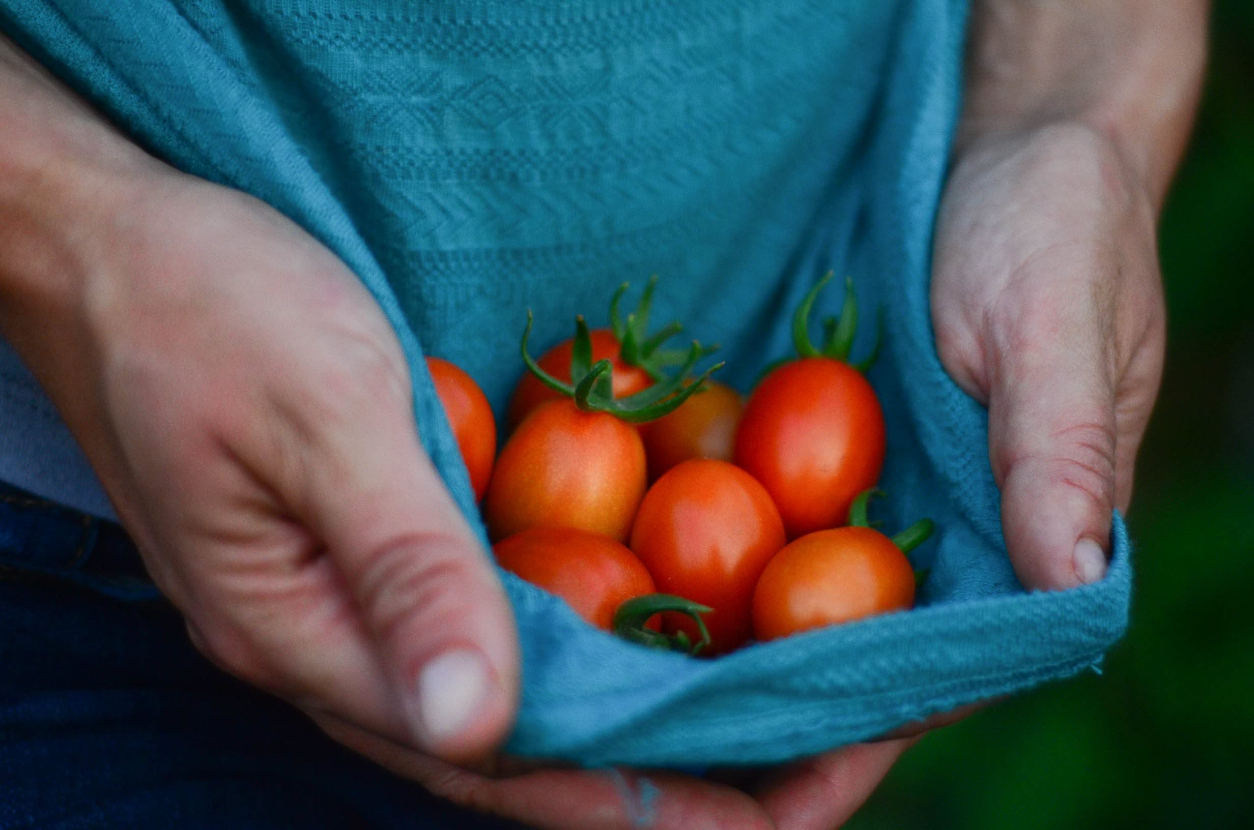 I believe in farm life. And here's why.