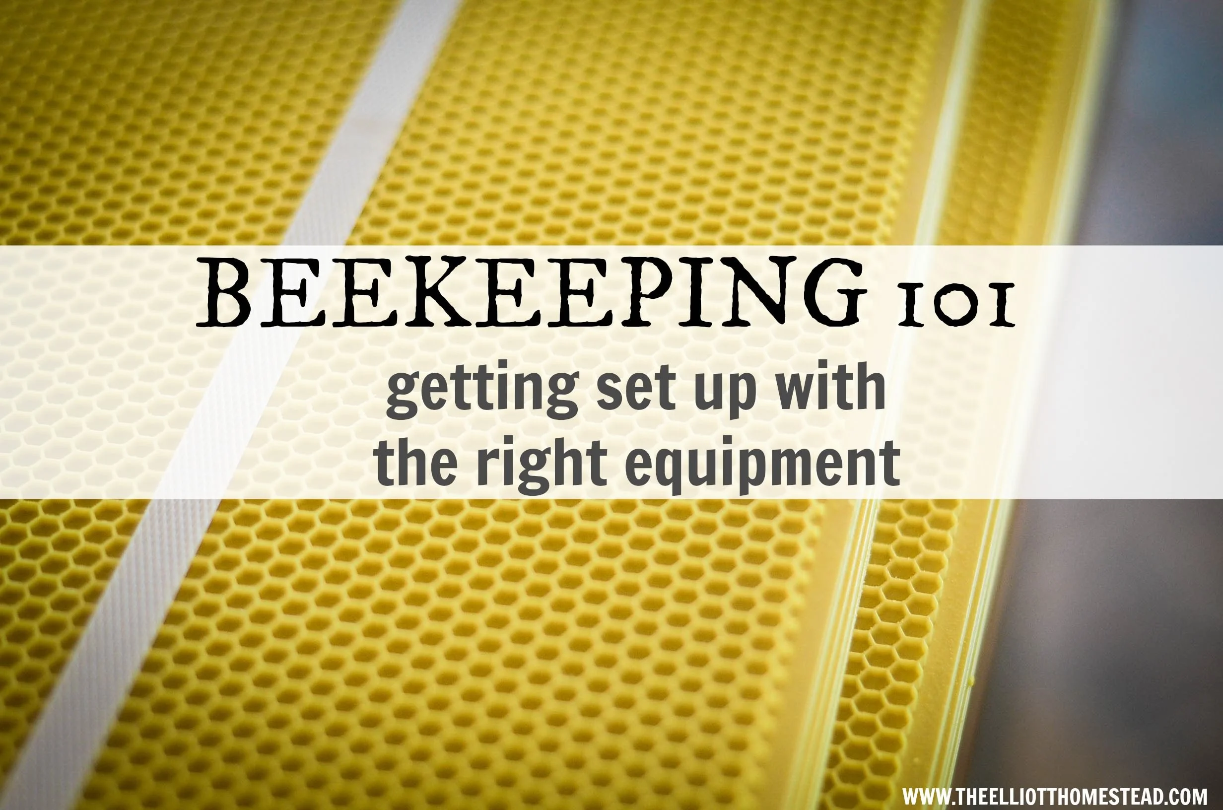 Beekeeping 101: Getting The Right Equipment