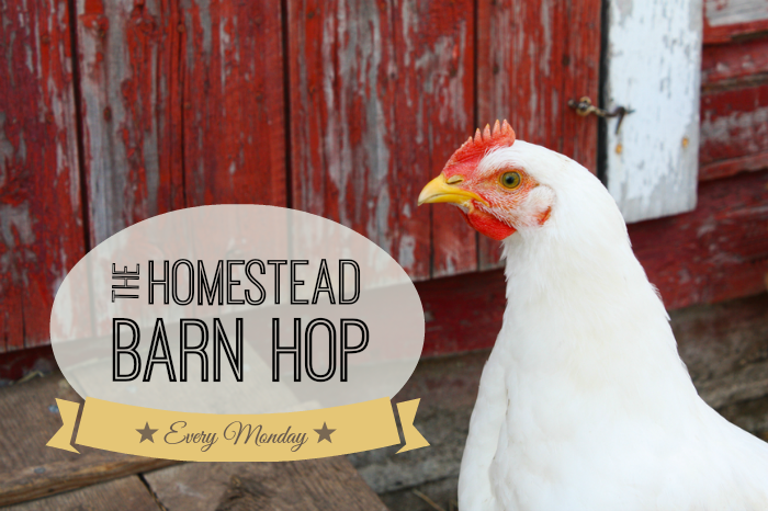 Homestead Barn Hop #161