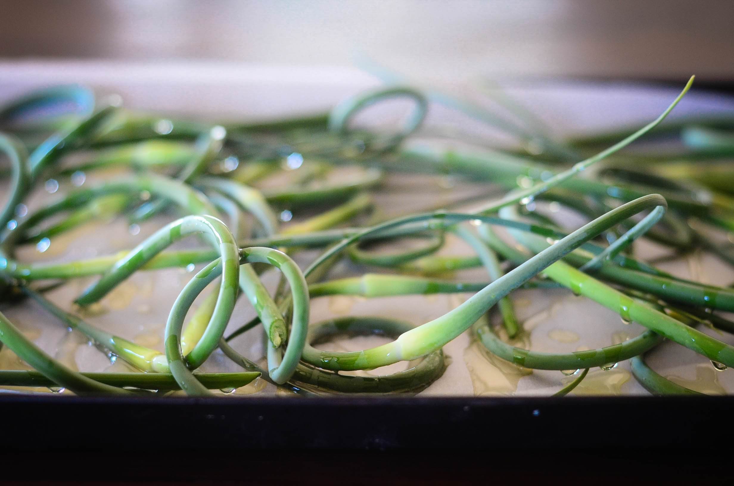 Roasted Garlic Scapes with Parmesan