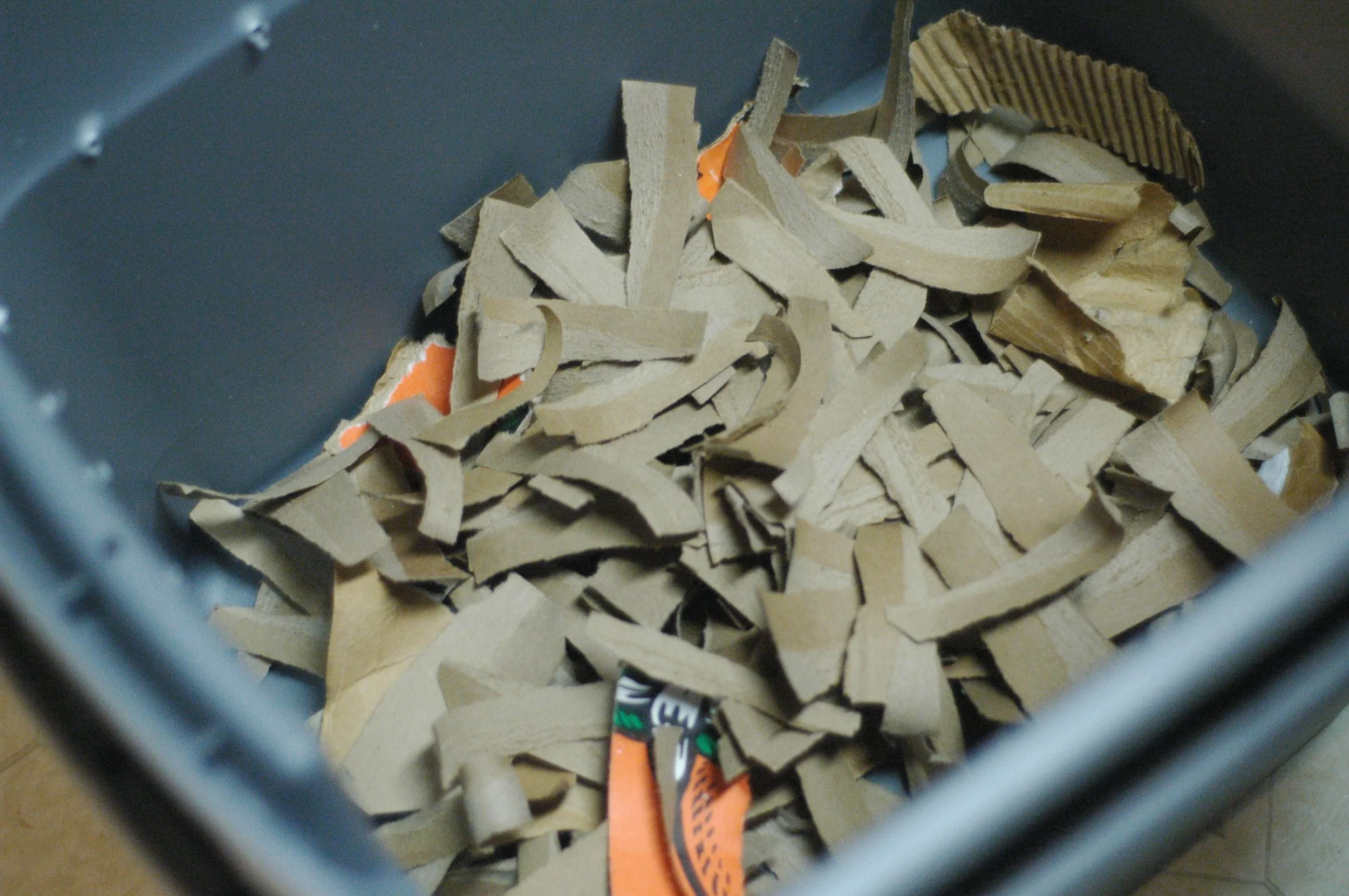 Worms in my kitchen.