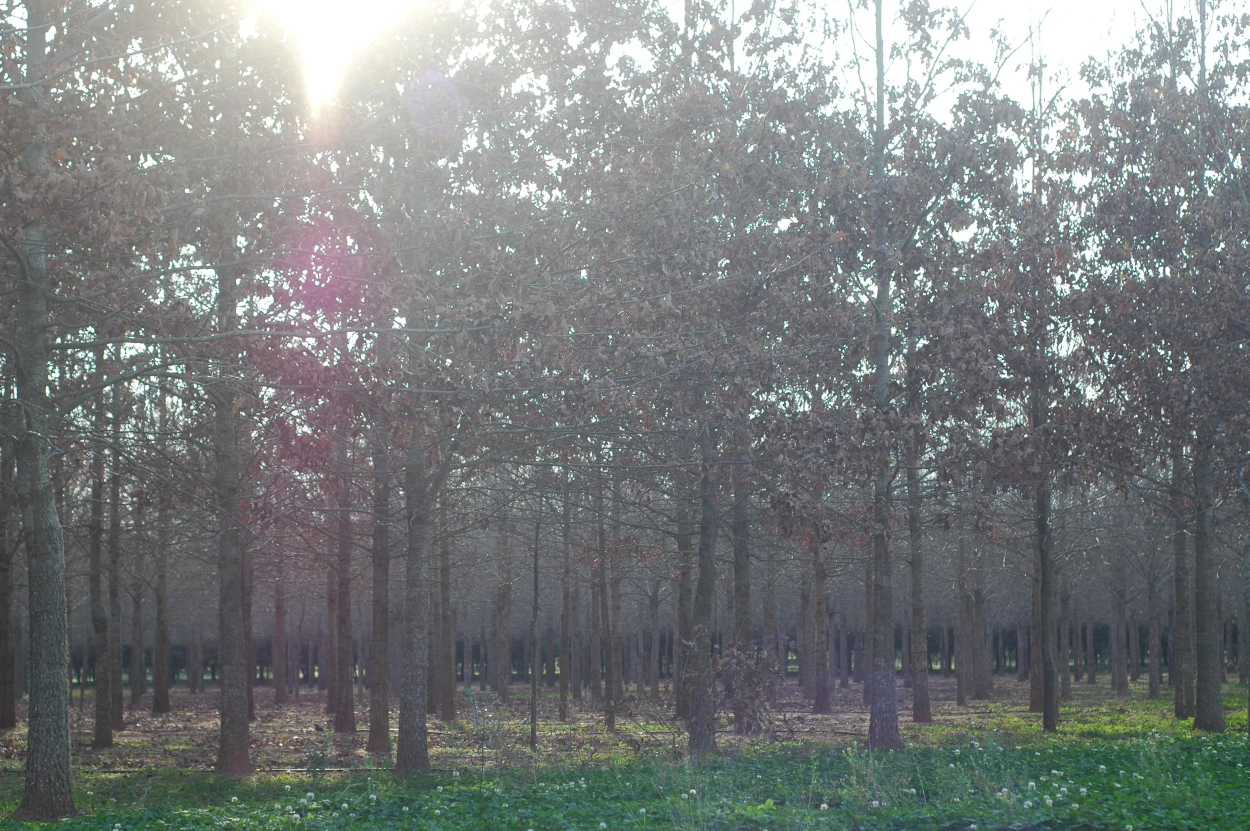 All Up In Jesus' Business.